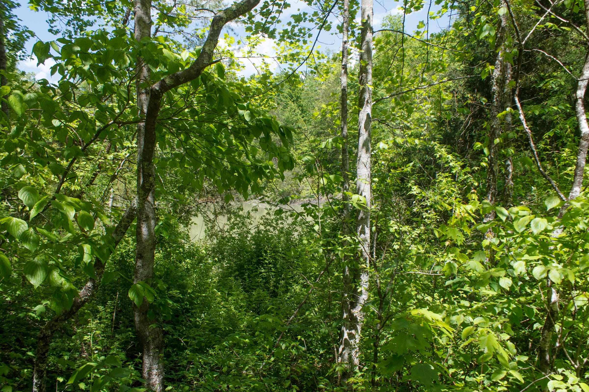 Riverbend Tract 32 photo 16