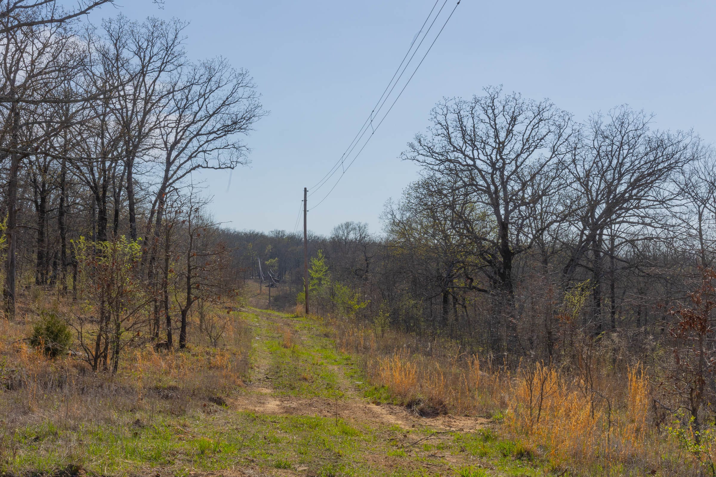 JLH Estates Tract 13 photo 10