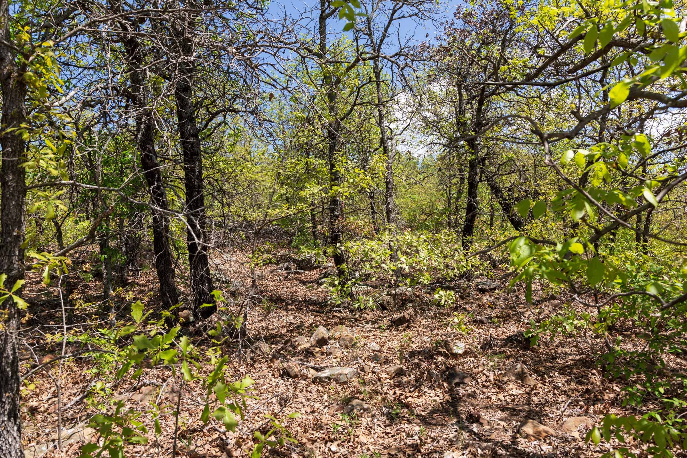 Allie’s Acres Tract 5 photo 2