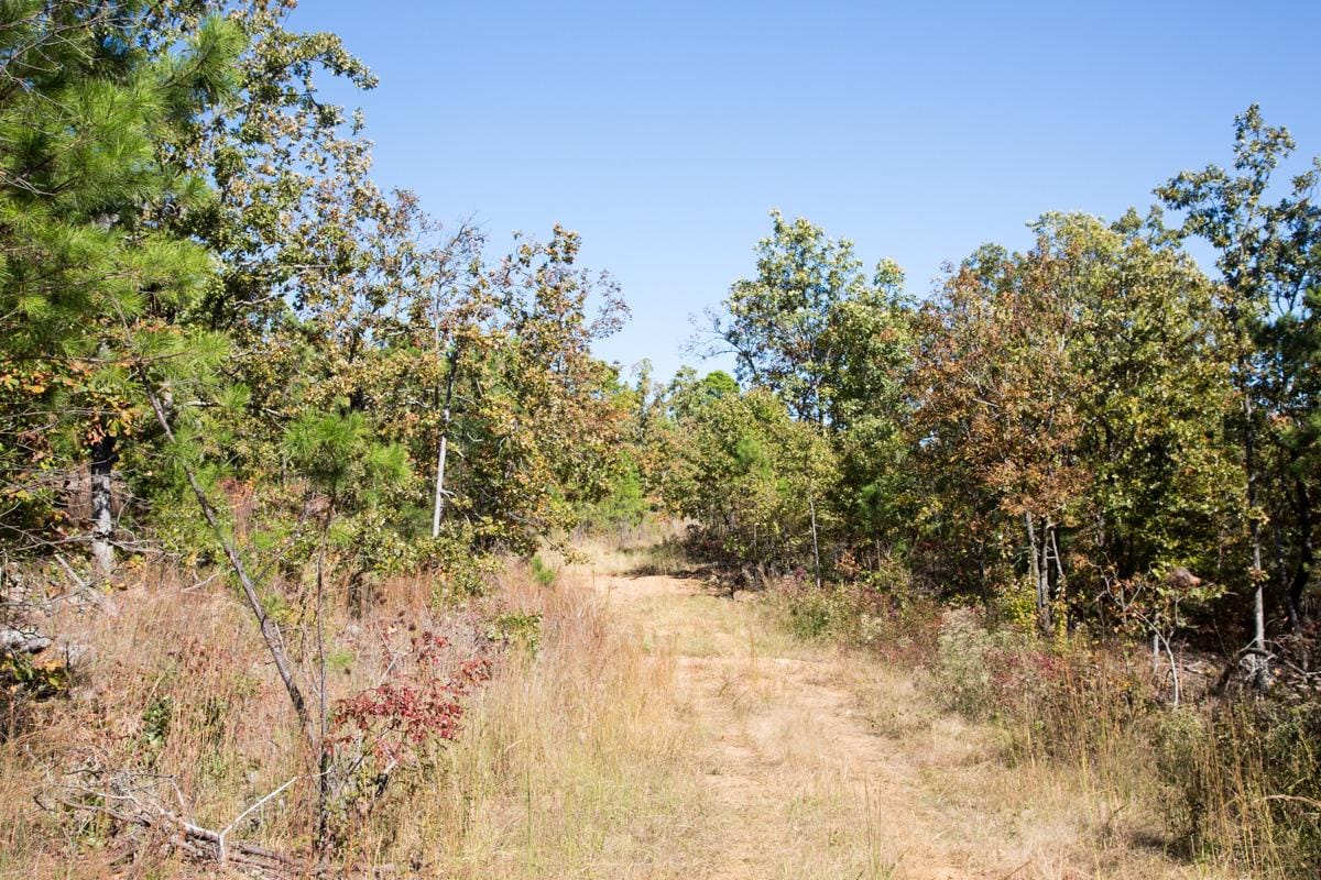 Stone Creek Phase I Tract 107 photo 2