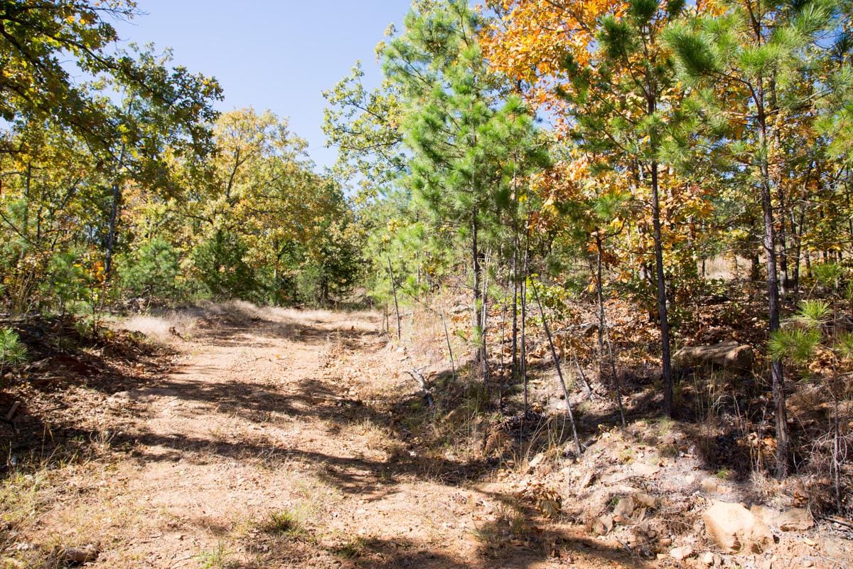 Stone Creek Phase I Tract 107 photo 3