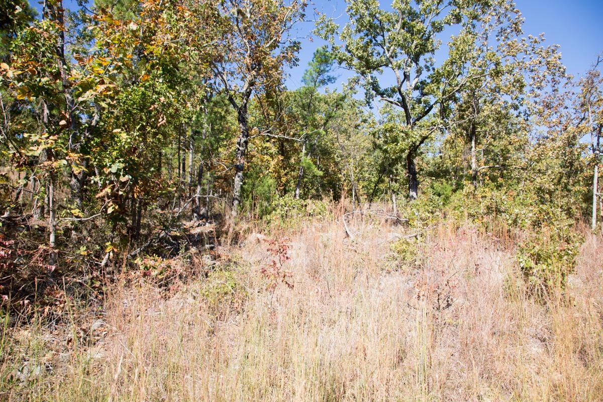 Stone Creek Phase I Tract 107 photo 5