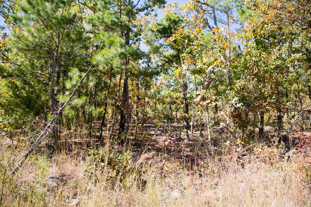 Stone Creek Phase I Tract 107 photo 6