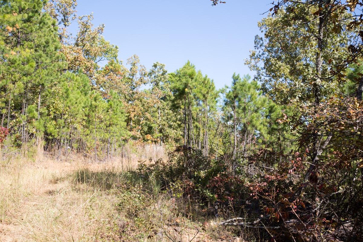 Stone Creek Phase I Tract 107 photo 8
