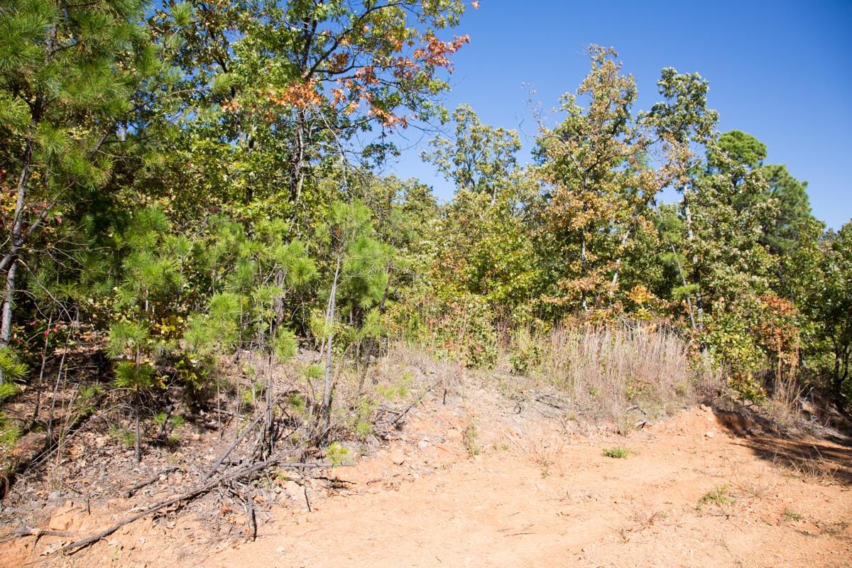 Stone Creek Phase I Tract 107 photo 12