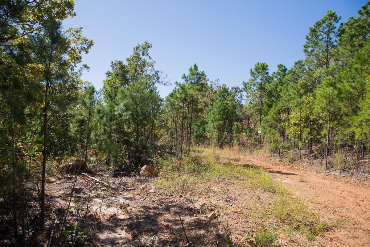 Stone Creek Phase I Tract 107 photo 13