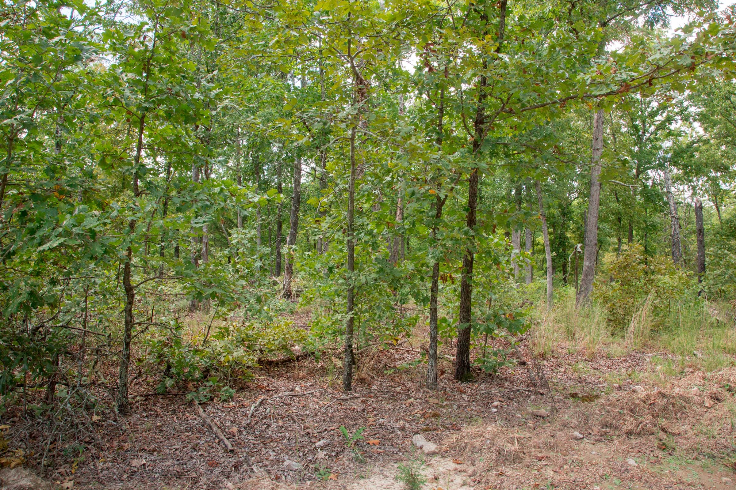 Wagon Wheel Ranch Tract 26 photo 1