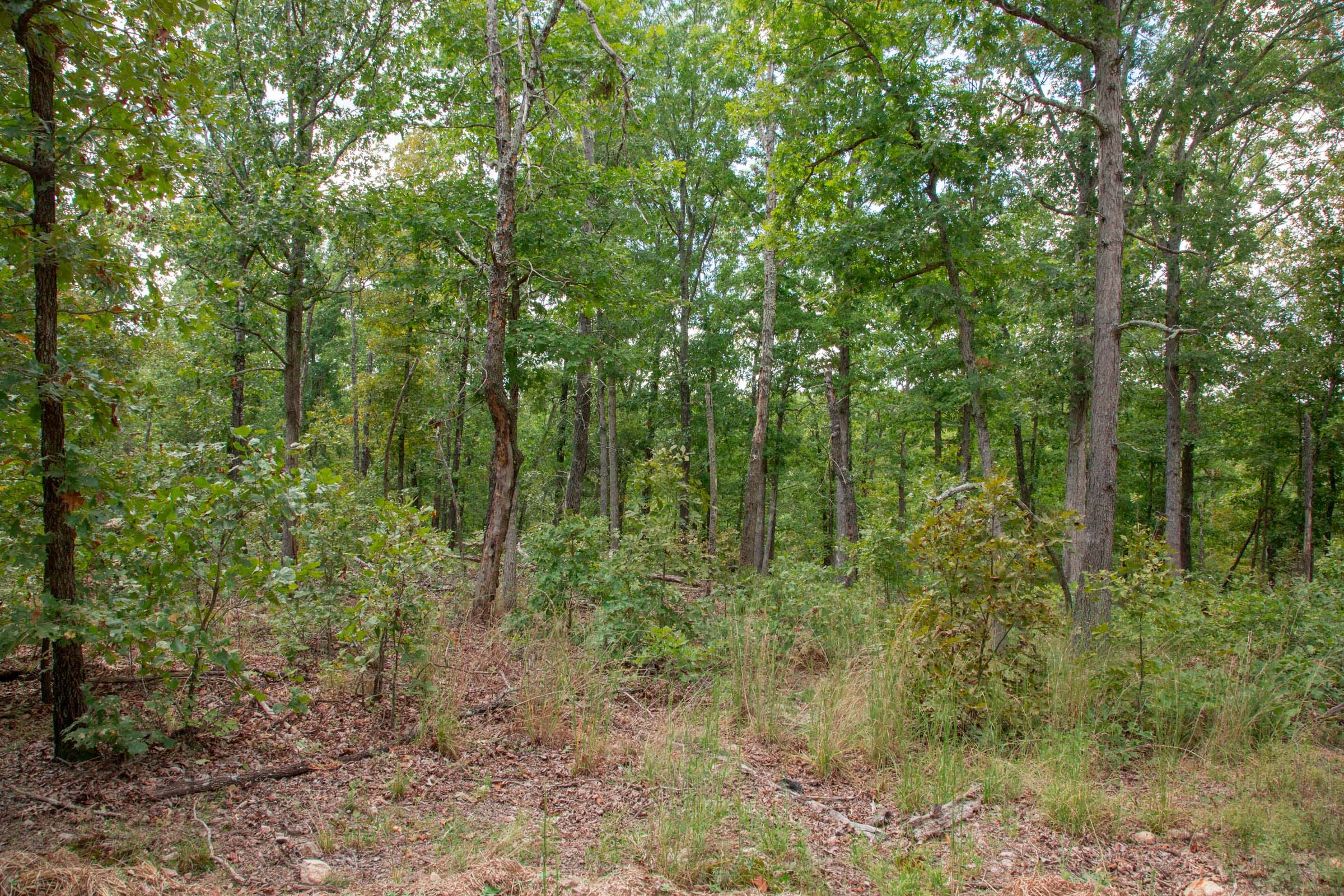 Wagon Wheel Ranch Tract 26 photo 3