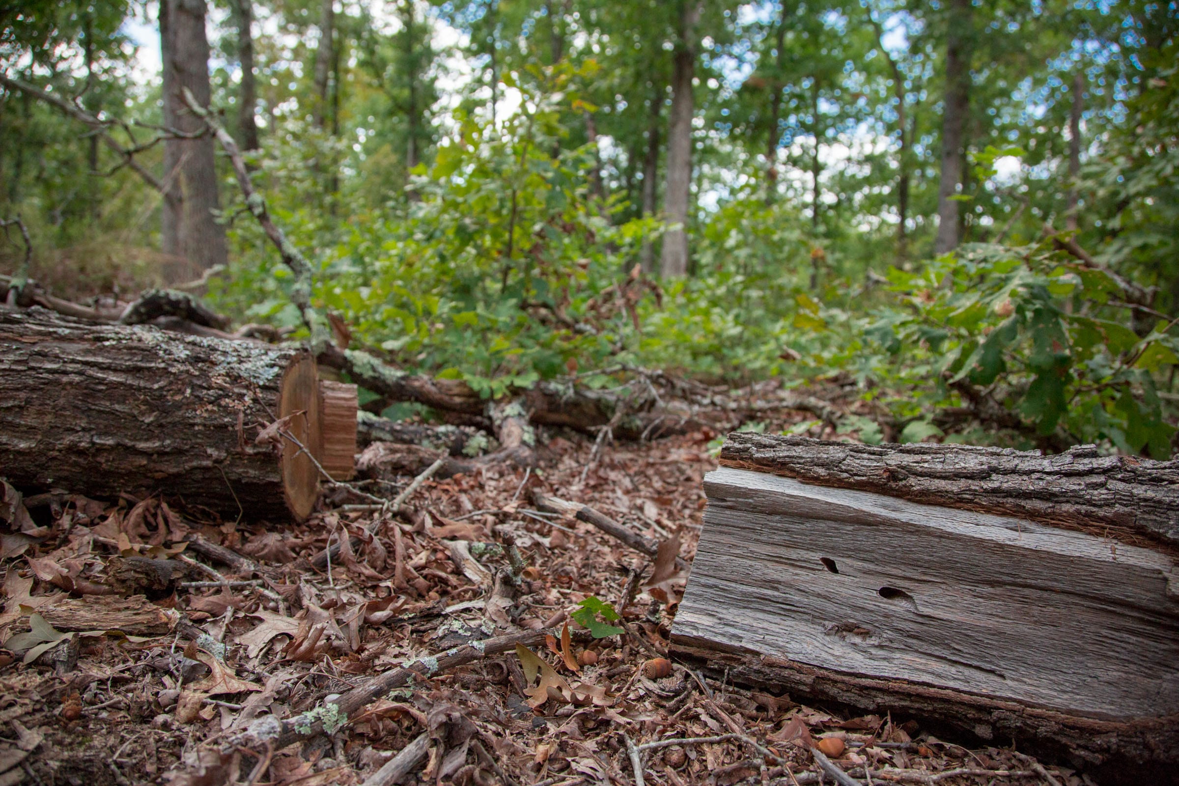 Wagon Wheel Ranch Tract 26 photo 5