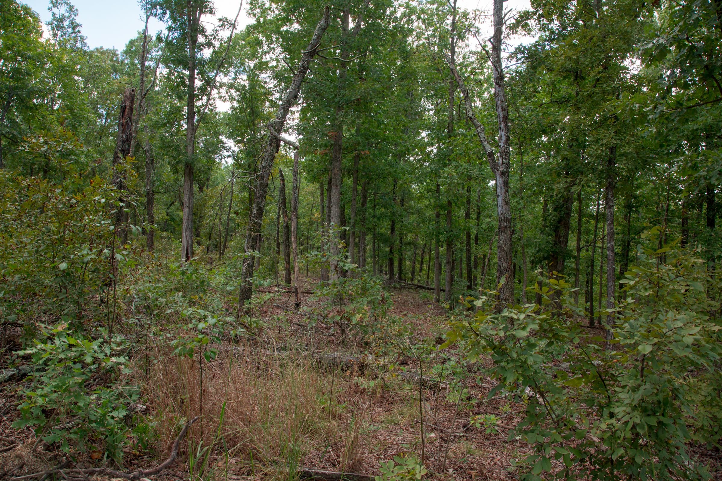 Wagon Wheel Ranch Tract 26 photo 6