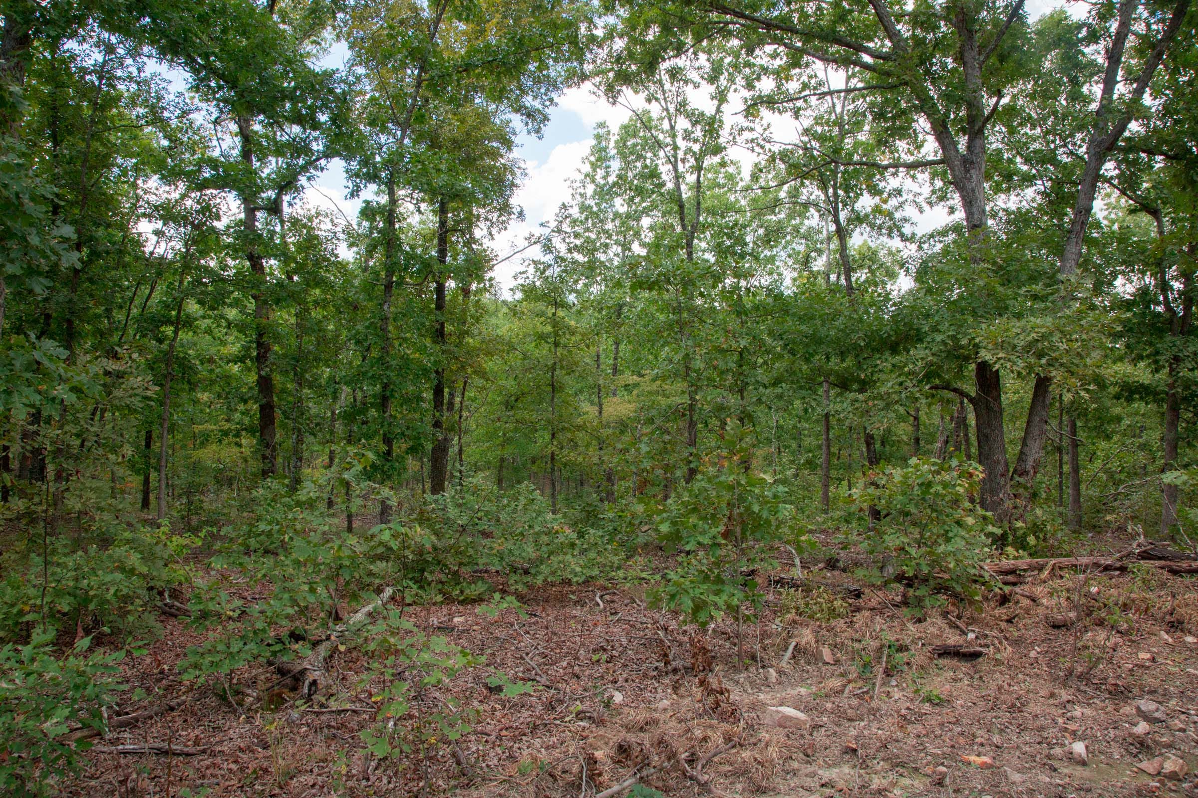 Wagon Wheel Ranch Tract 26 photo 8