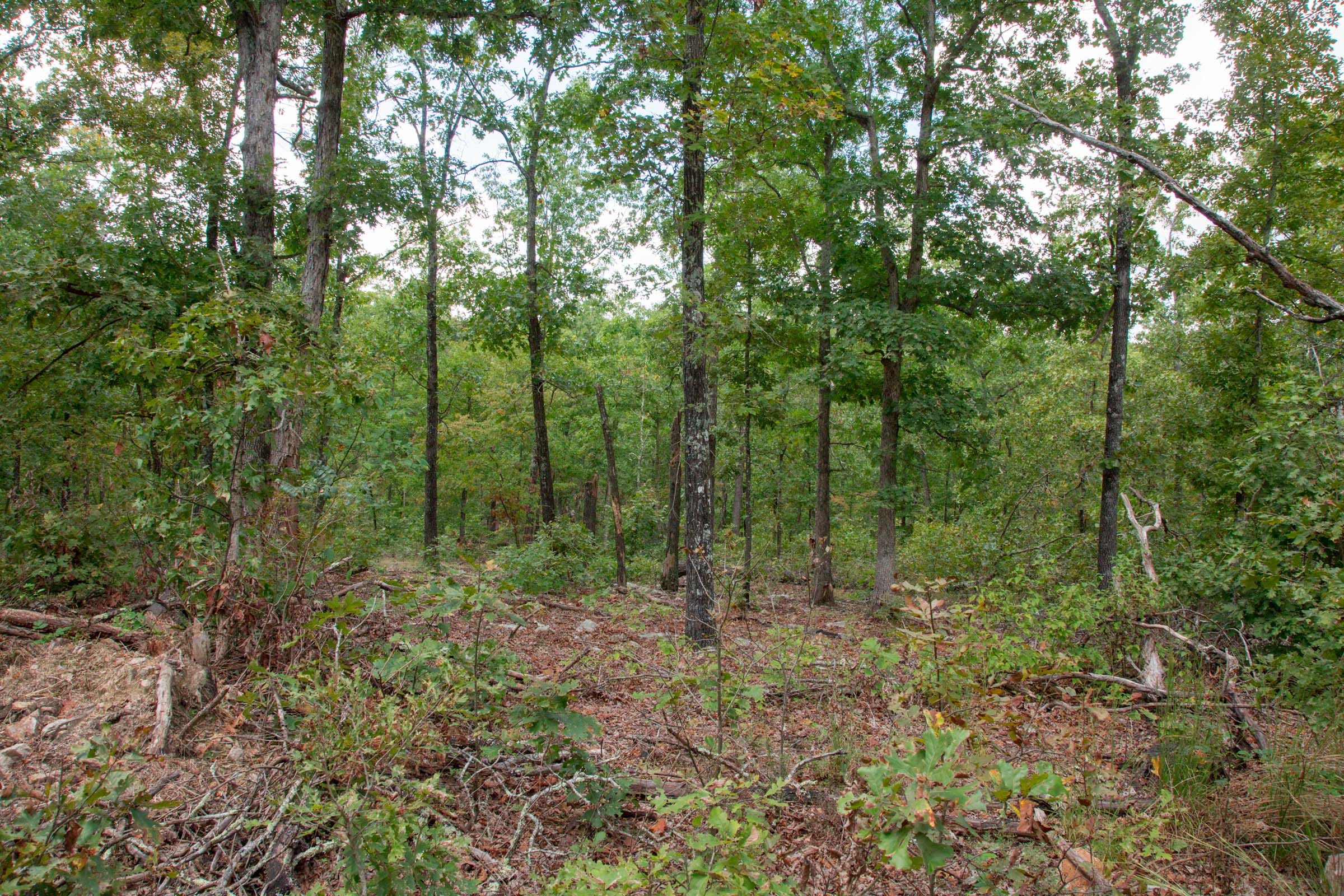 Wagon Wheel Ranch Tract 26 photo 9