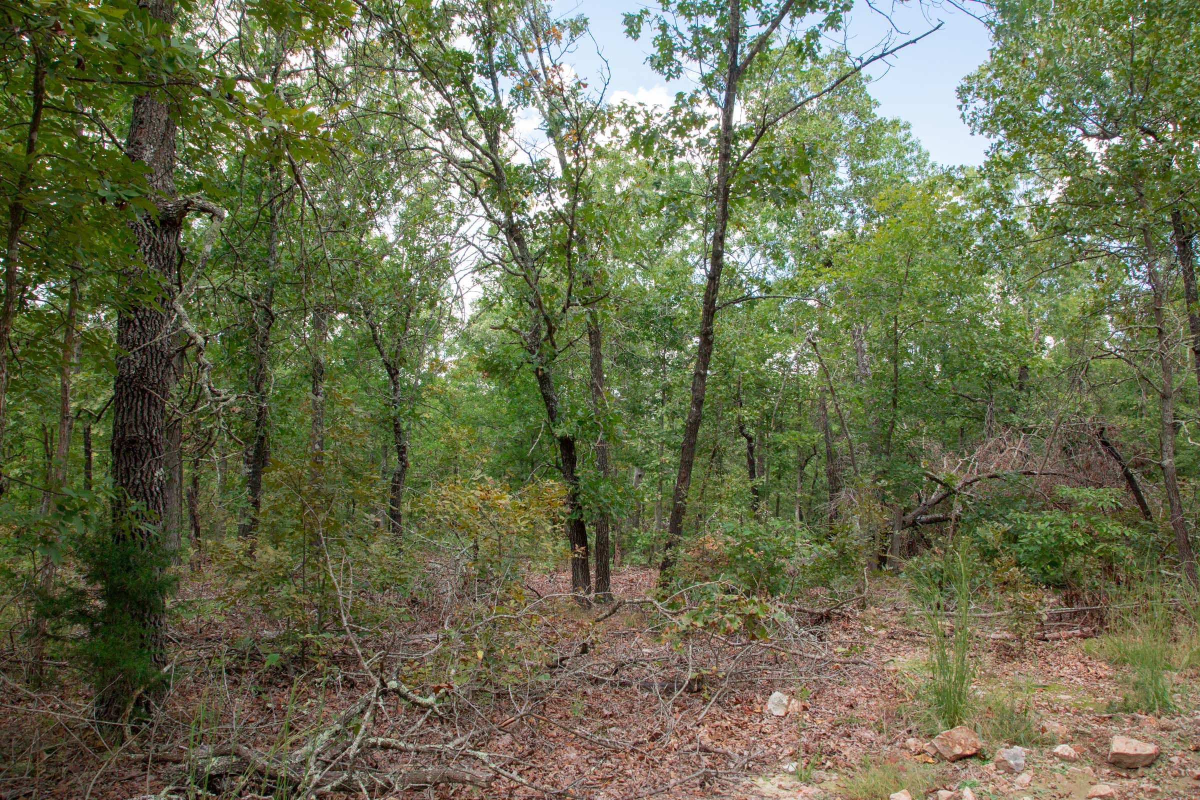 Wagon Wheel Ranch Tract 26 photo 10
