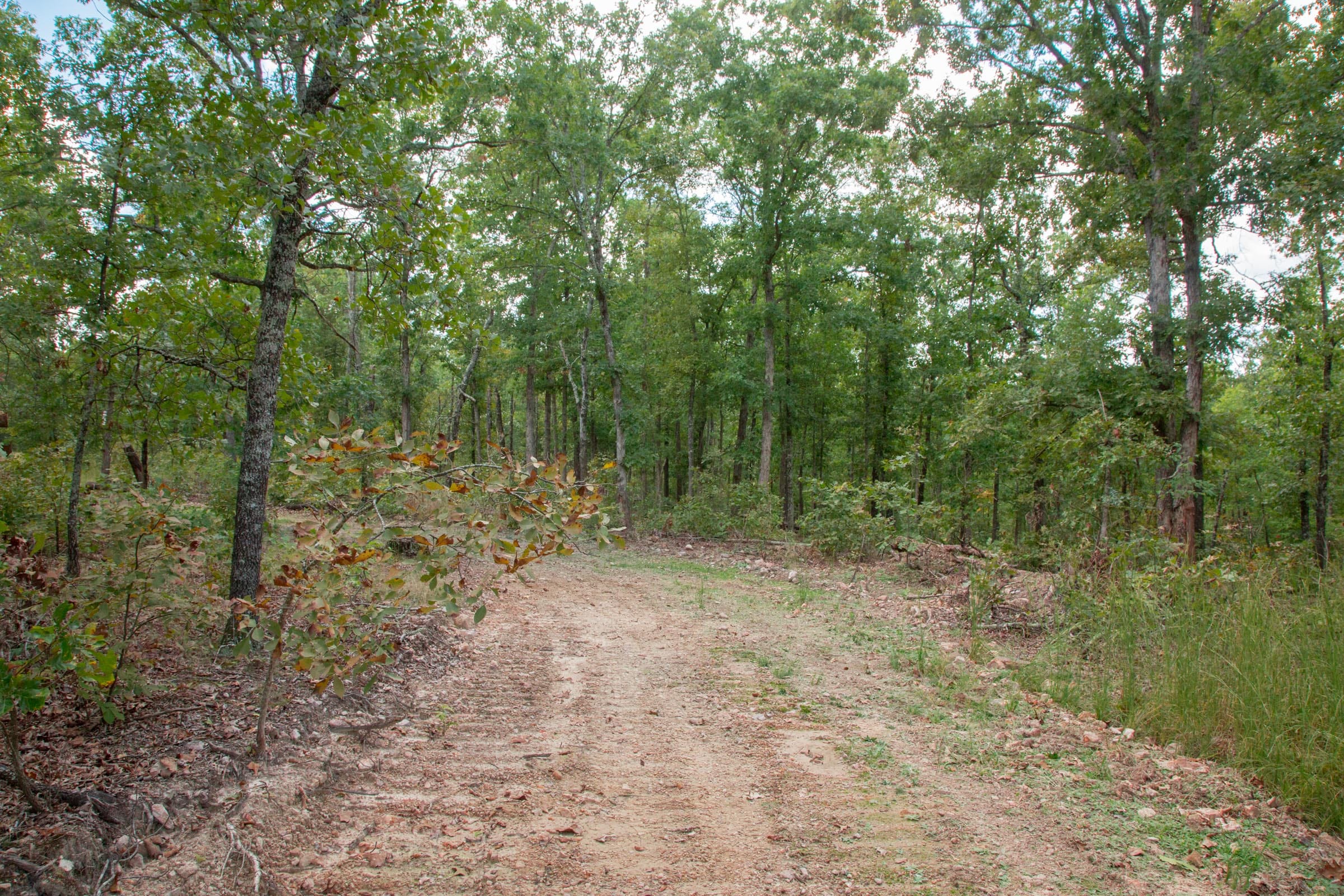 Wagon Wheel Ranch Tract 26 photo 11