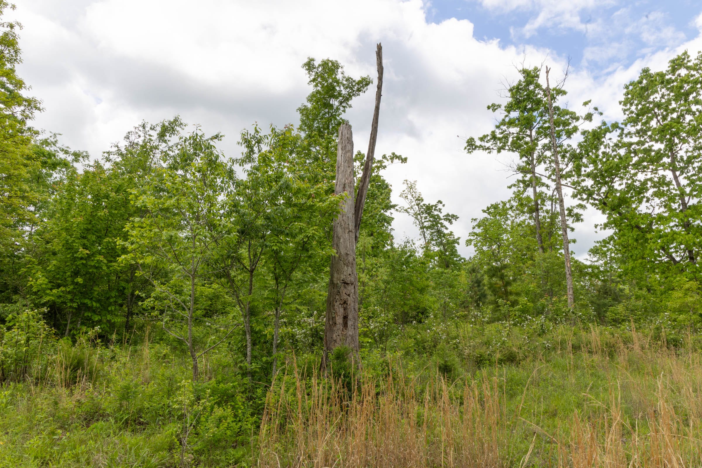 Sleepy Hollow Phase II Tract 66 photo 6