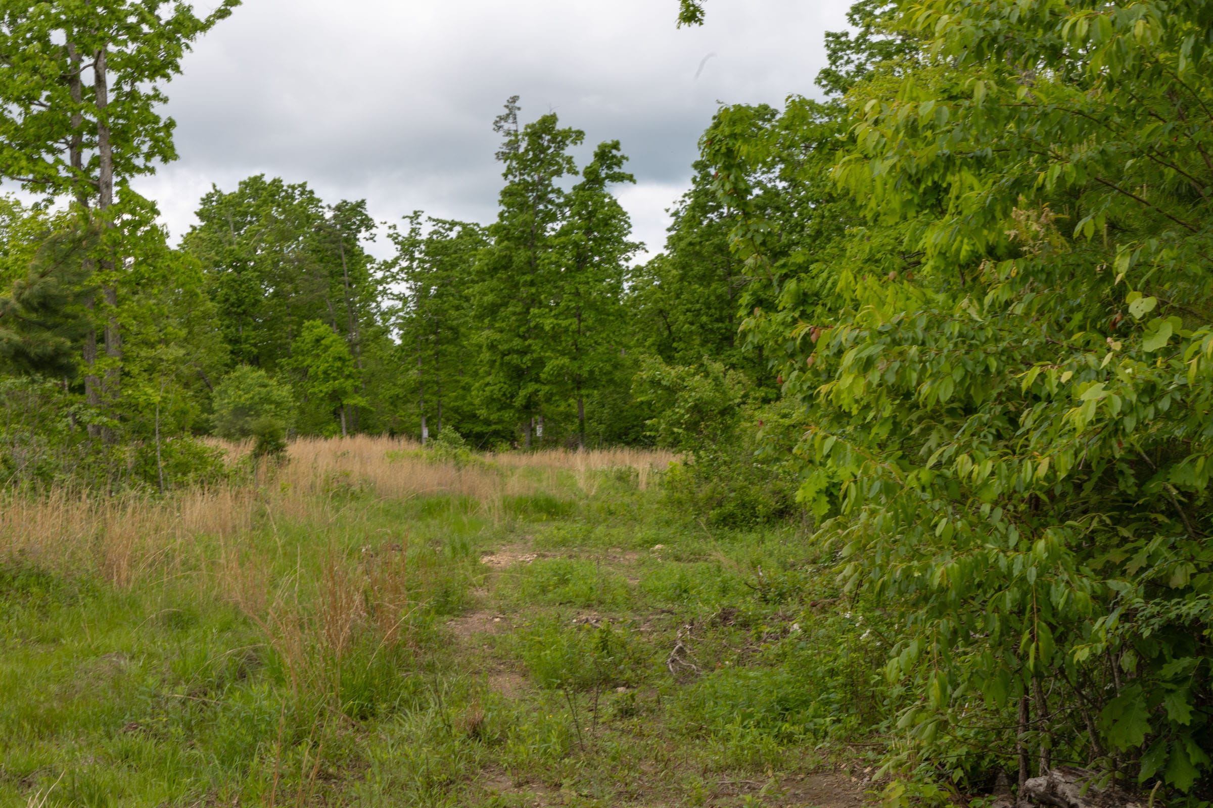 Sleepy Hollow Phase II Tract 66 photo 2