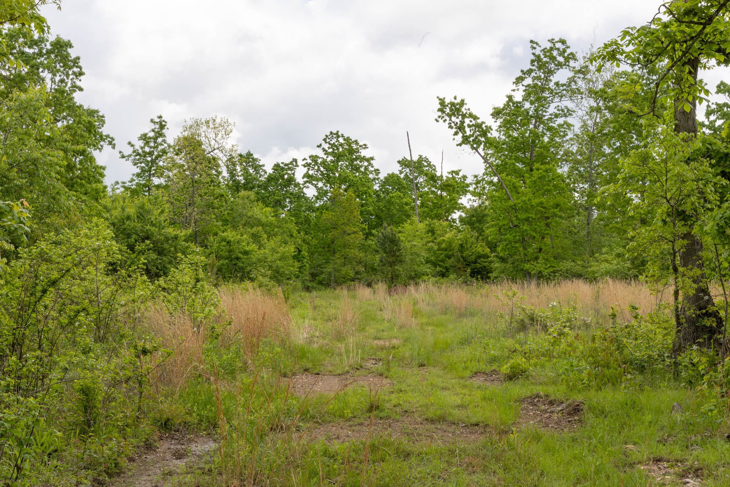 Sleepy Hollow Phase II Tract 66 photo 1