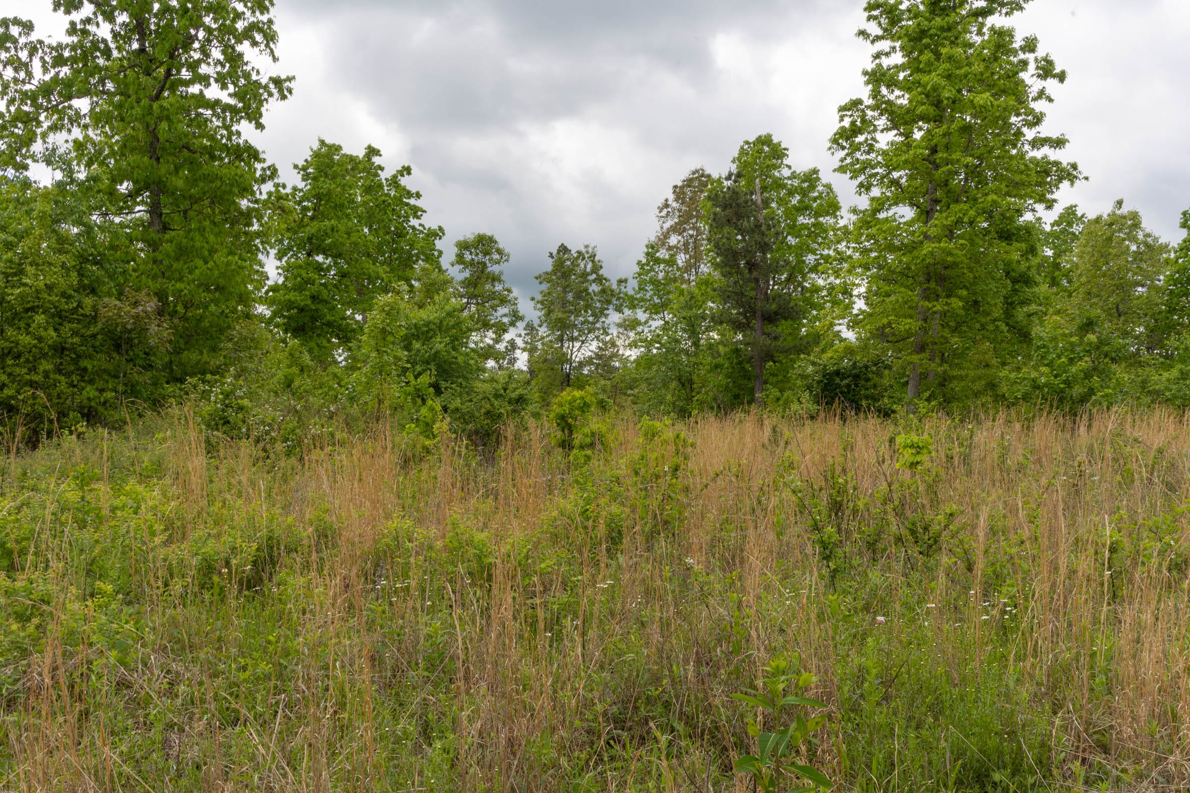 Sleepy Hollow Phase II Tract 66 photo 10