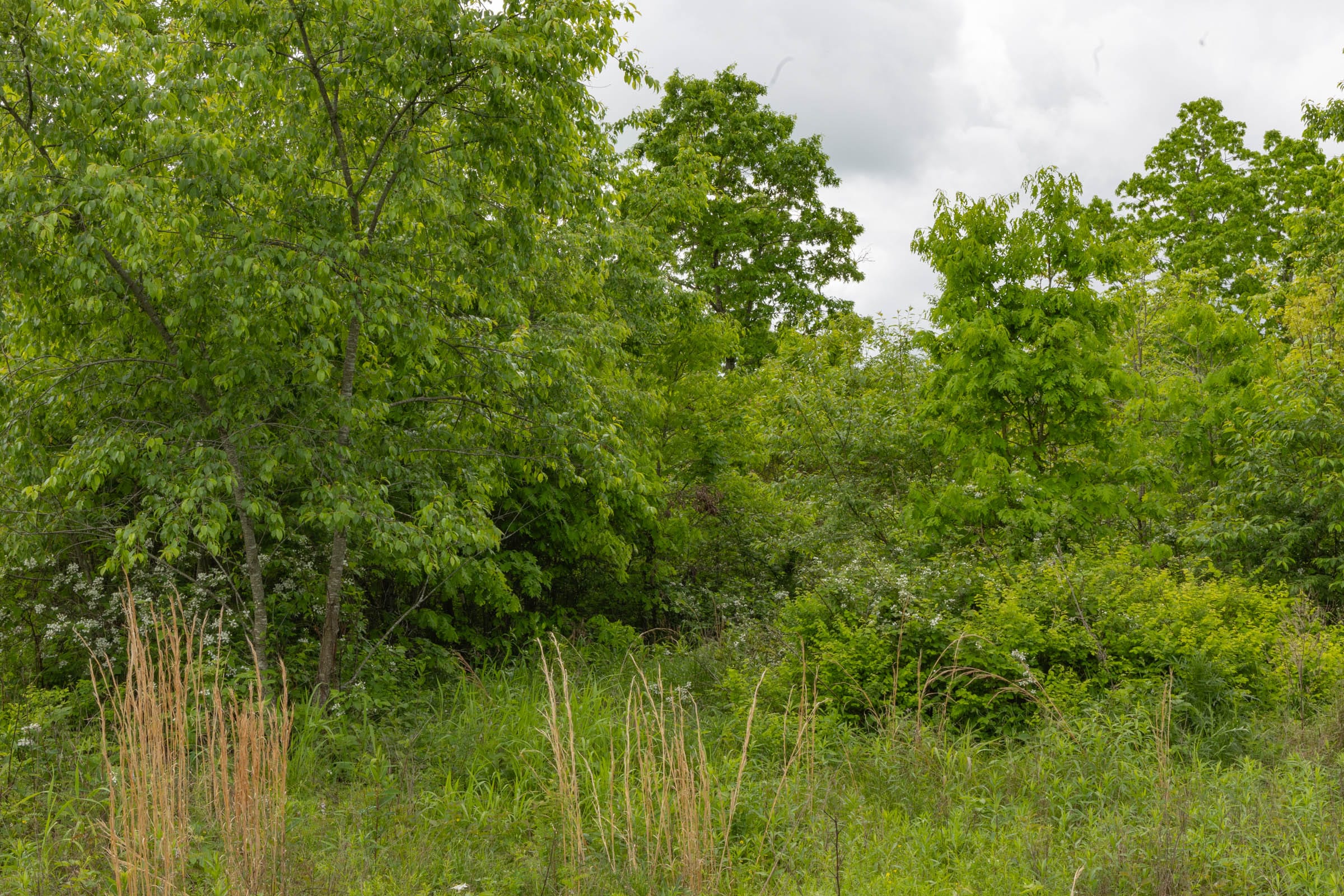 Sleepy Hollow Phase II Tract 66 photo 9
