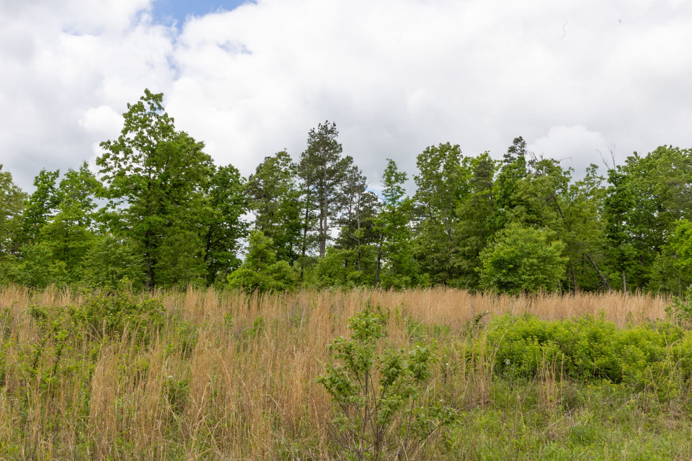 Sleepy Hollow Phase II Tract 66 photo 5