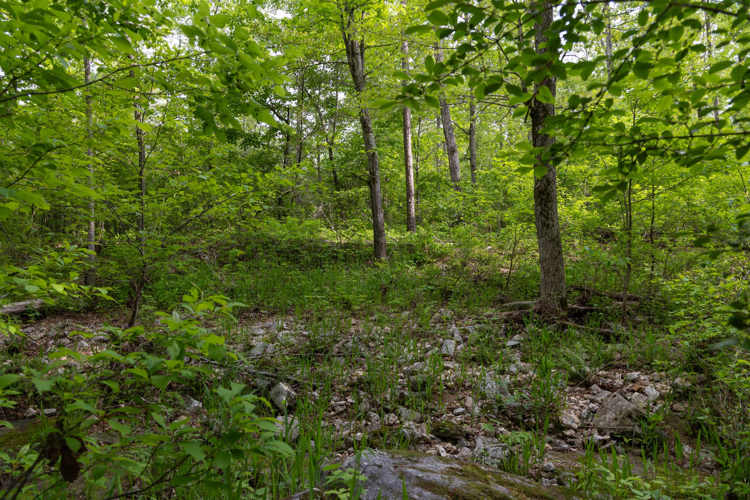 Sleepy Hollow Phase II Tract 66 photo 4