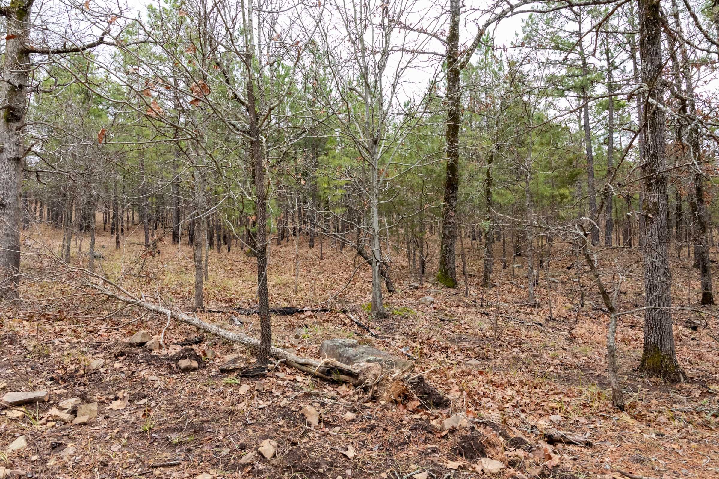 Stone Bridge Phase III Tract 193 photo 4