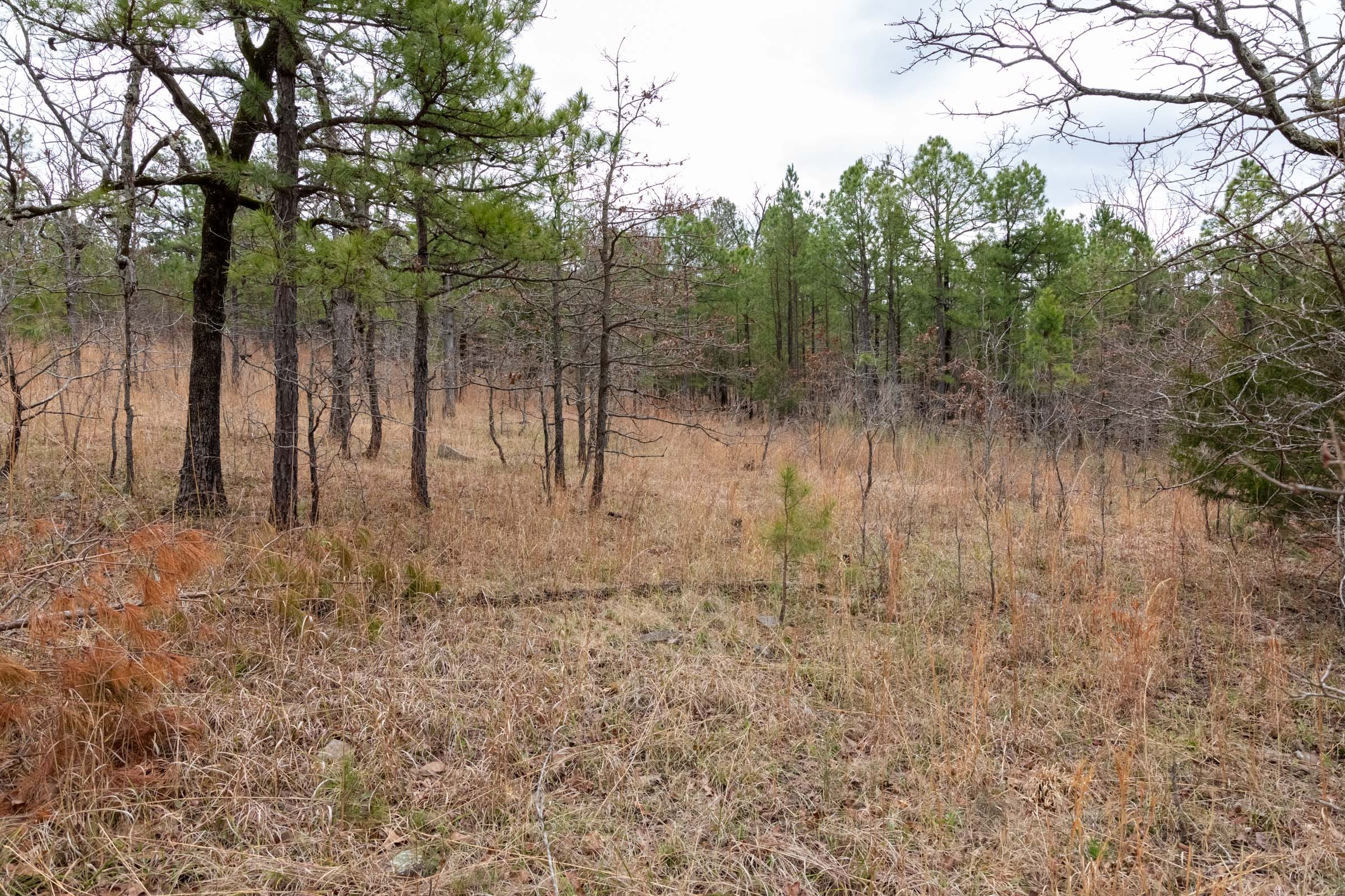 Stone Bridge Phase III Tract 193 photo 5