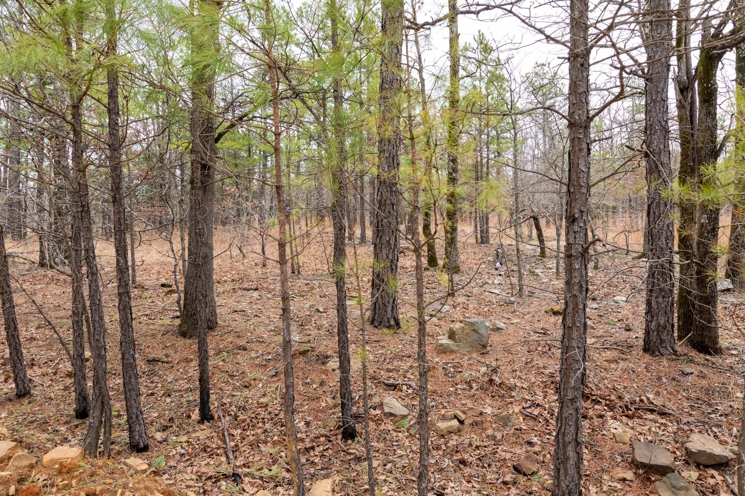 Stone Bridge Phase III Tract 193 photo 6