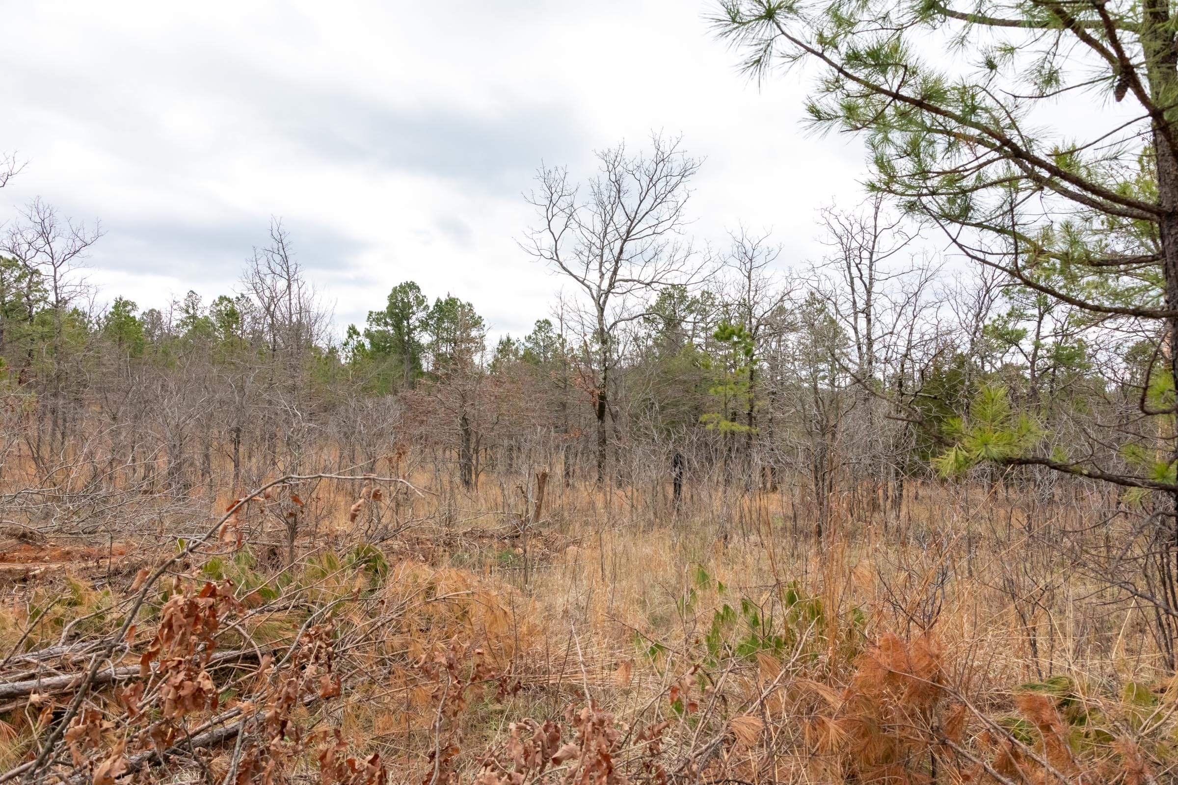 Stone Bridge Phase III Tract 193 photo 9