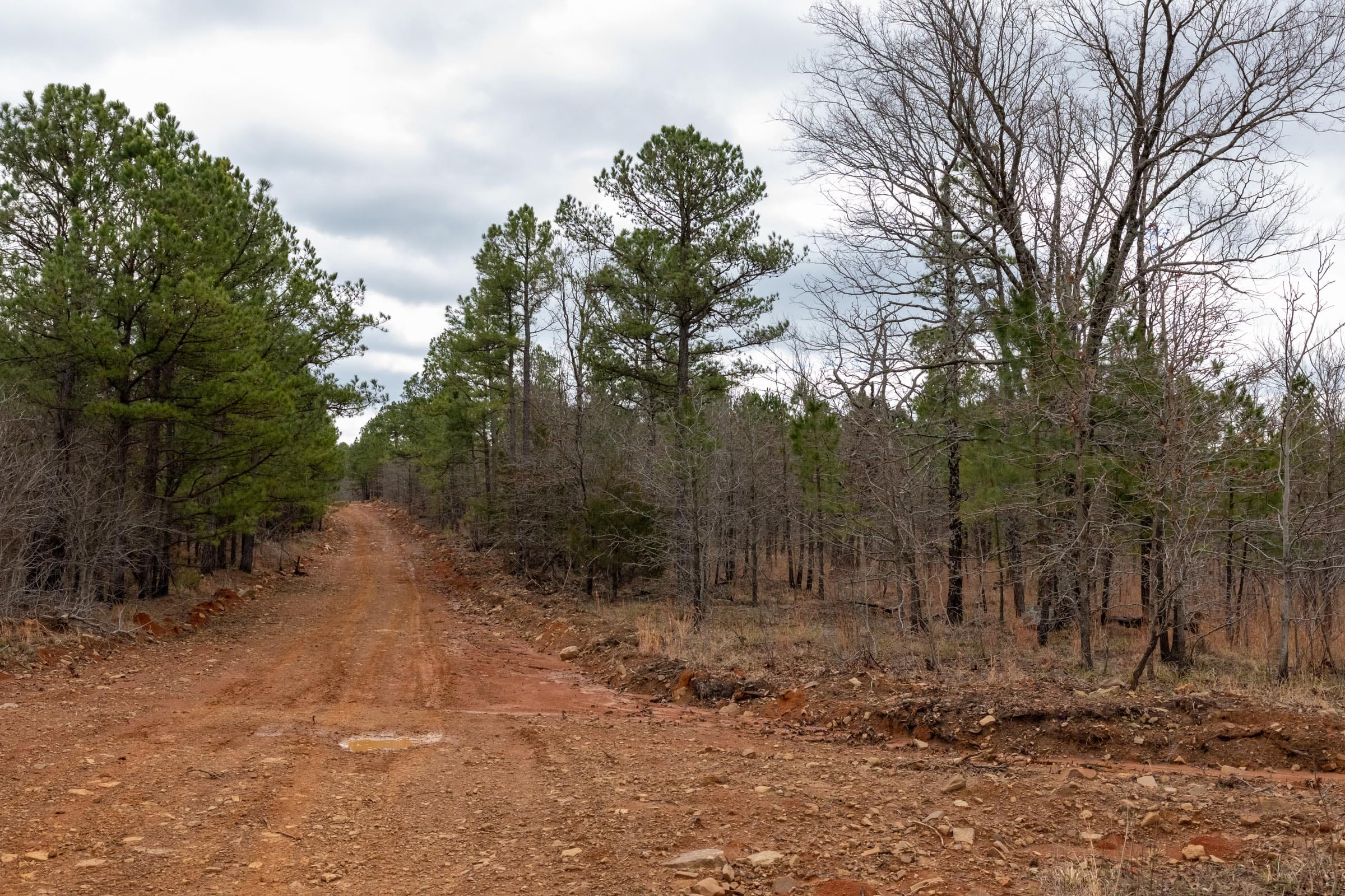 Stone Bridge Phase III Tract 193 photo 8