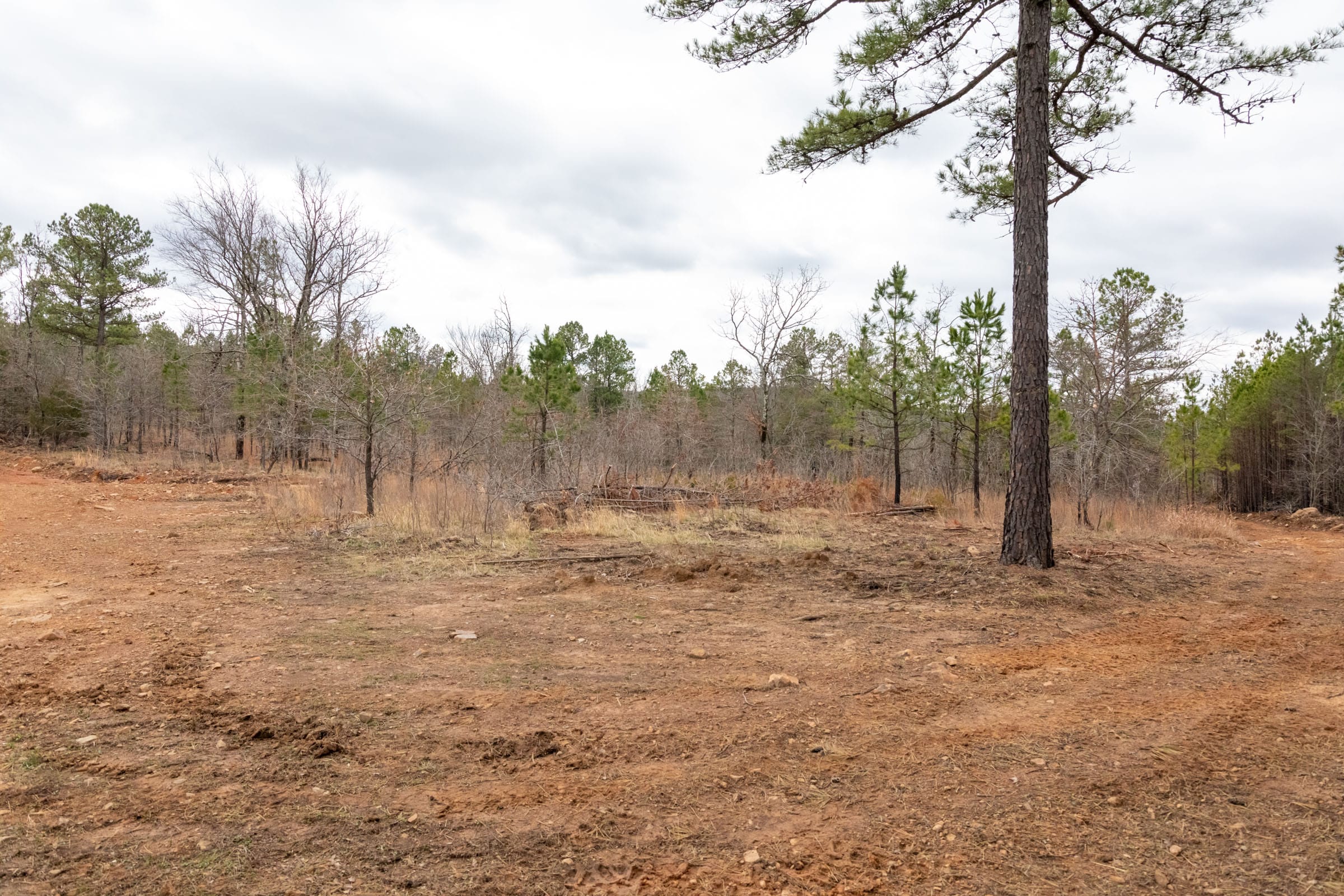 Stone Bridge Phase III Tract 193 photo 10