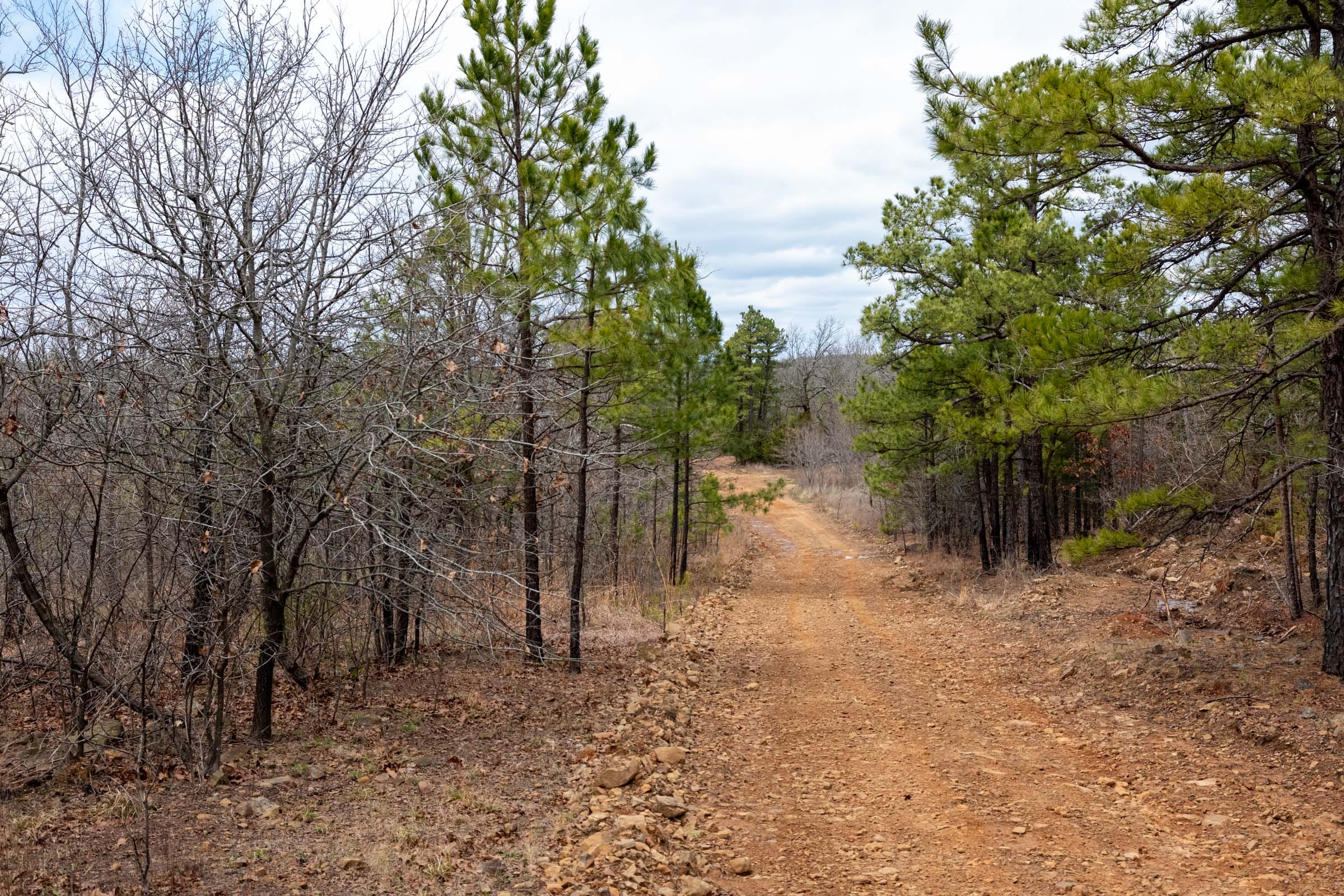 Stone Bridge Phase III Tract 193 photo 1