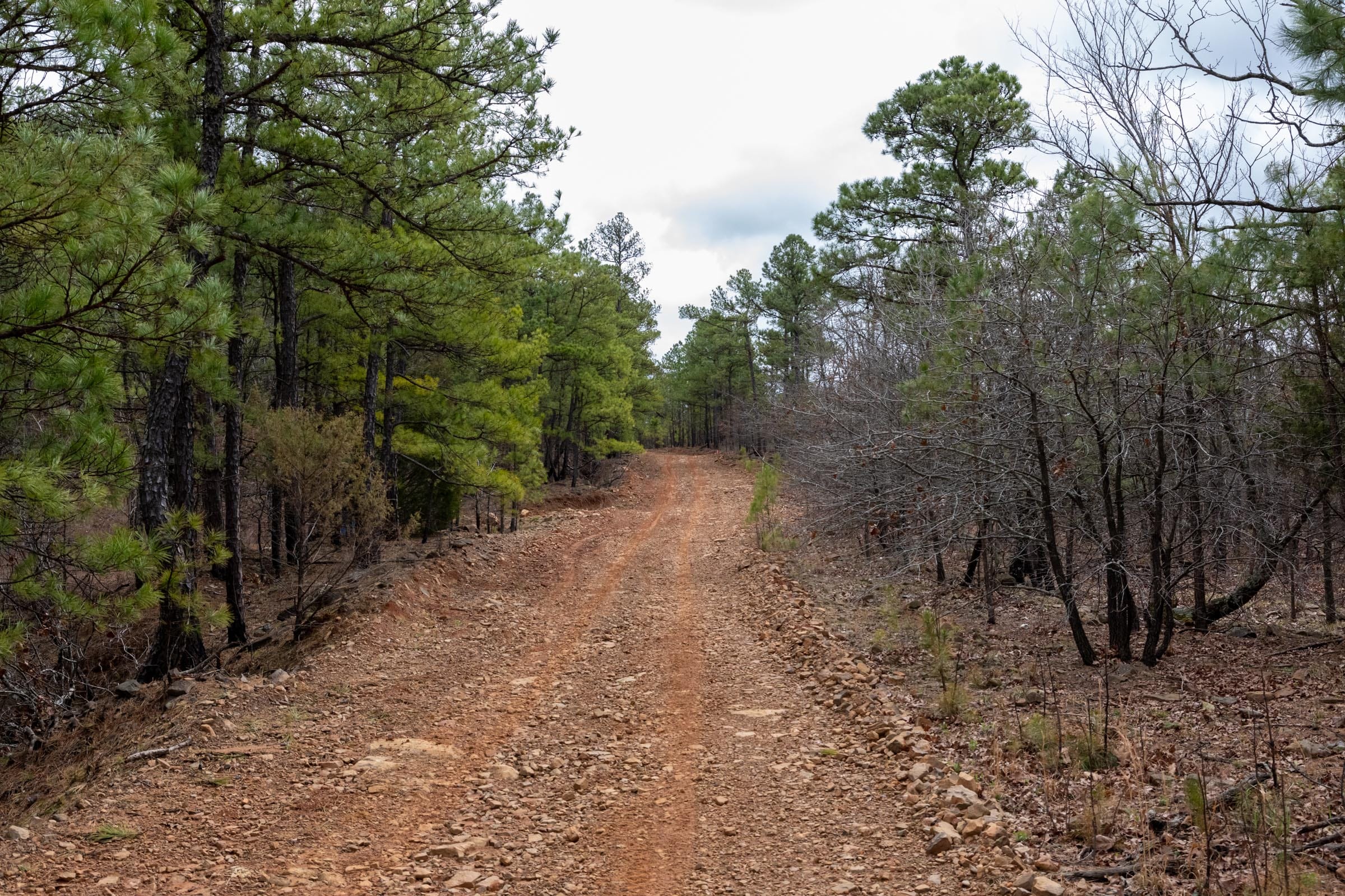 Stone Bridge Phase III Tract 193 photo 3