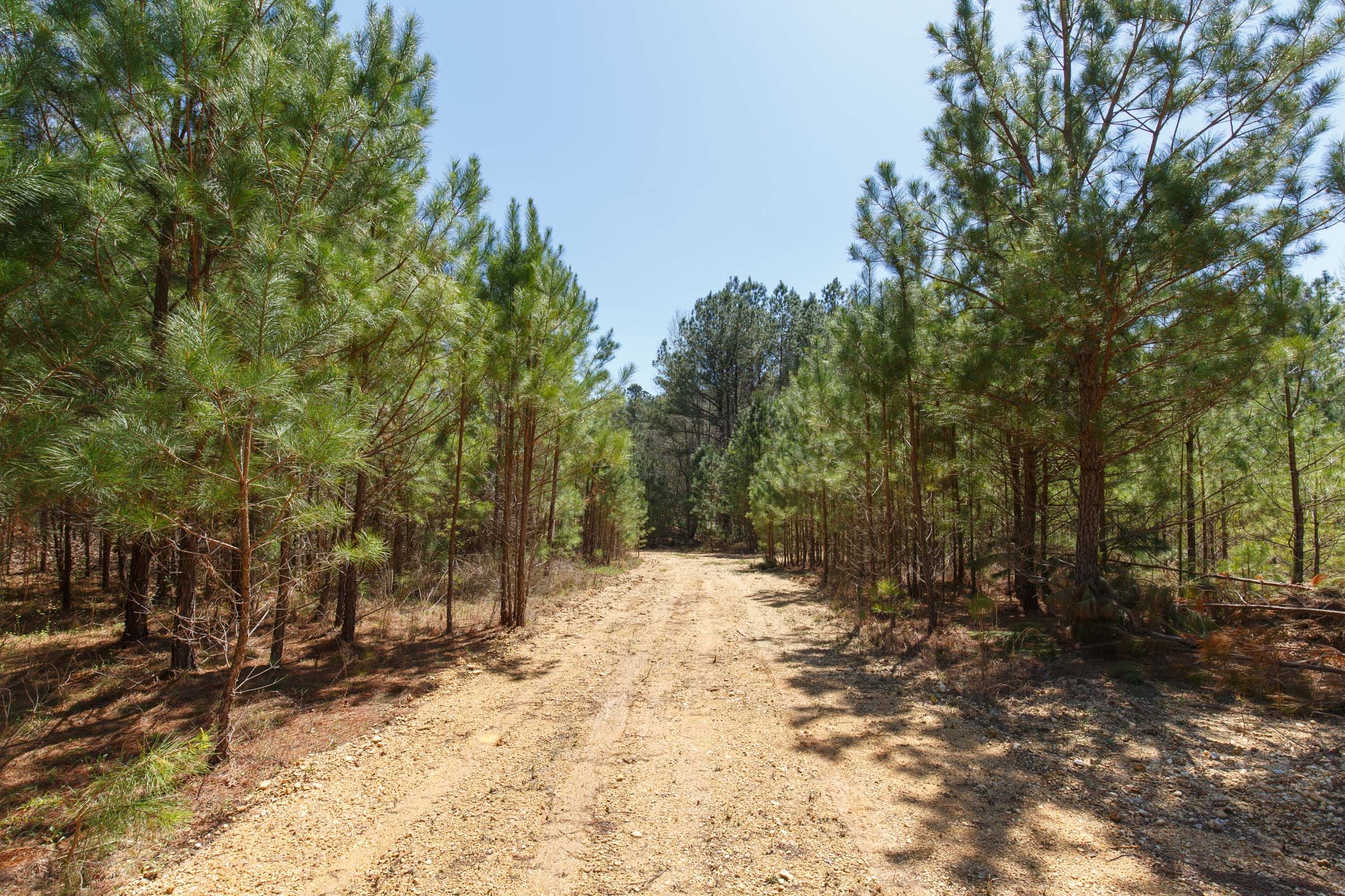 Southern Hills Tract 17 photo 2