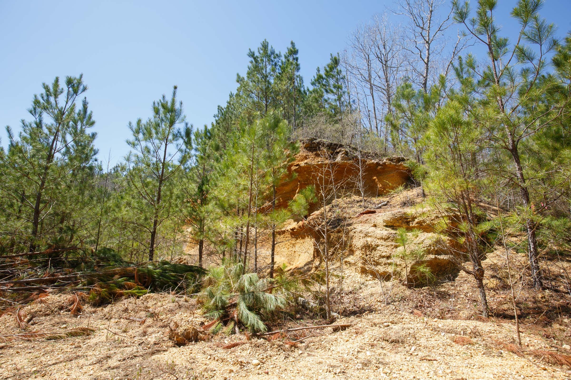 Southern Hills Tract 17 photo 4