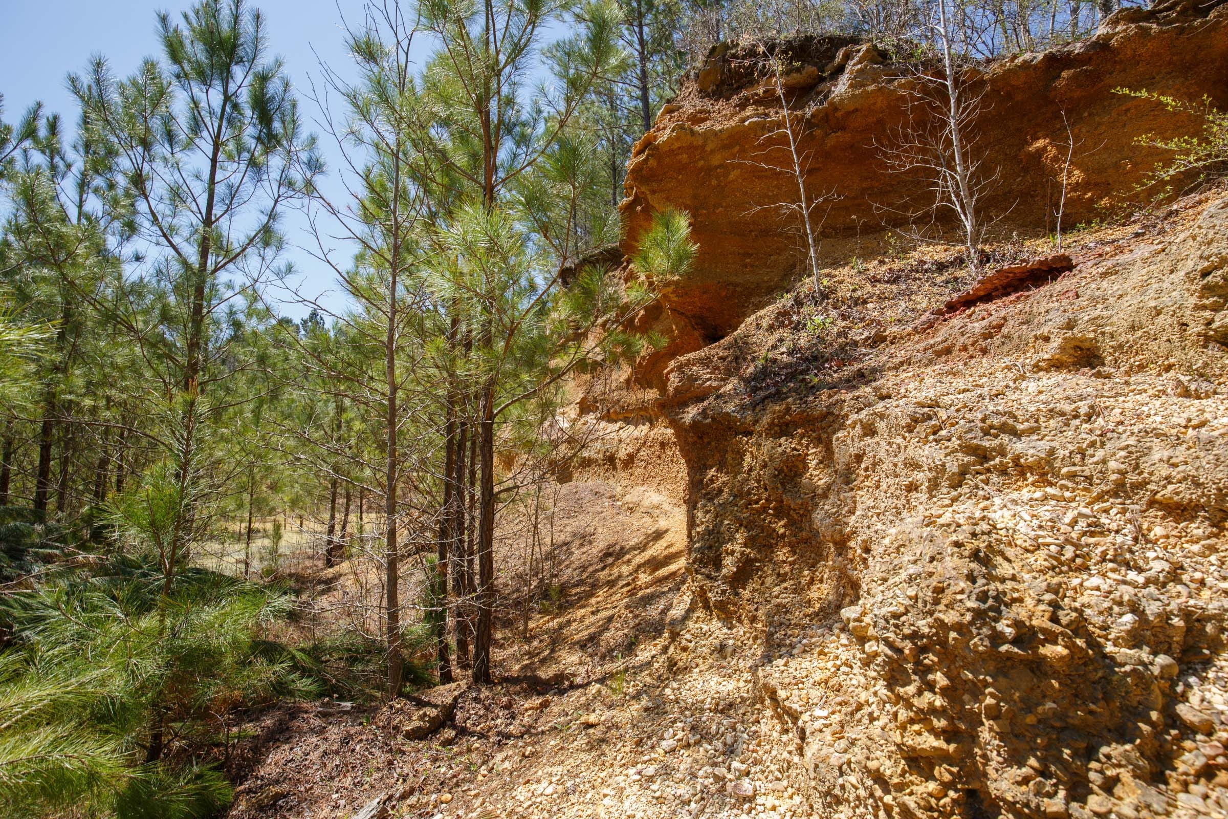 Southern Hills Tract 17 photo 5