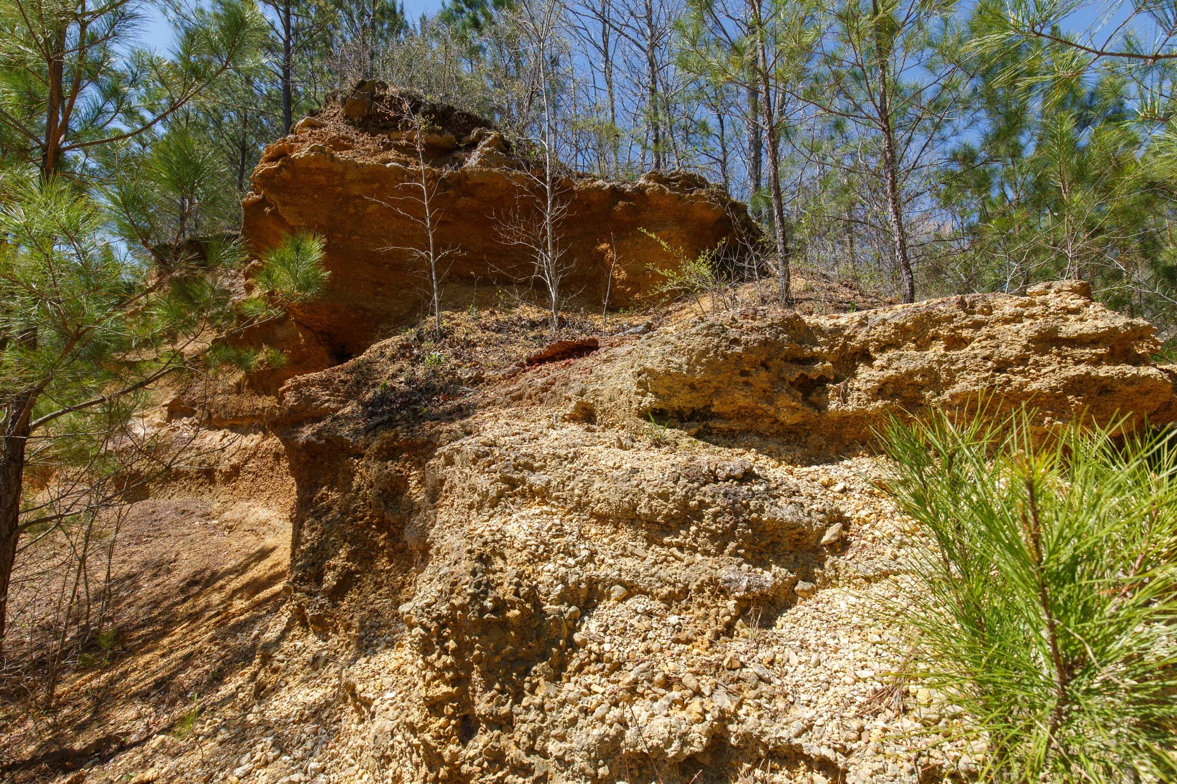 Southern Hills Tract 17 photo 6