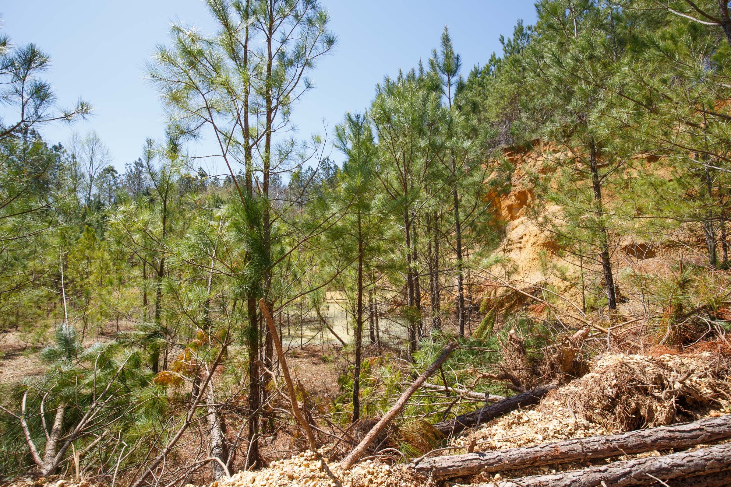 Southern Hills Tract 17 photo 8