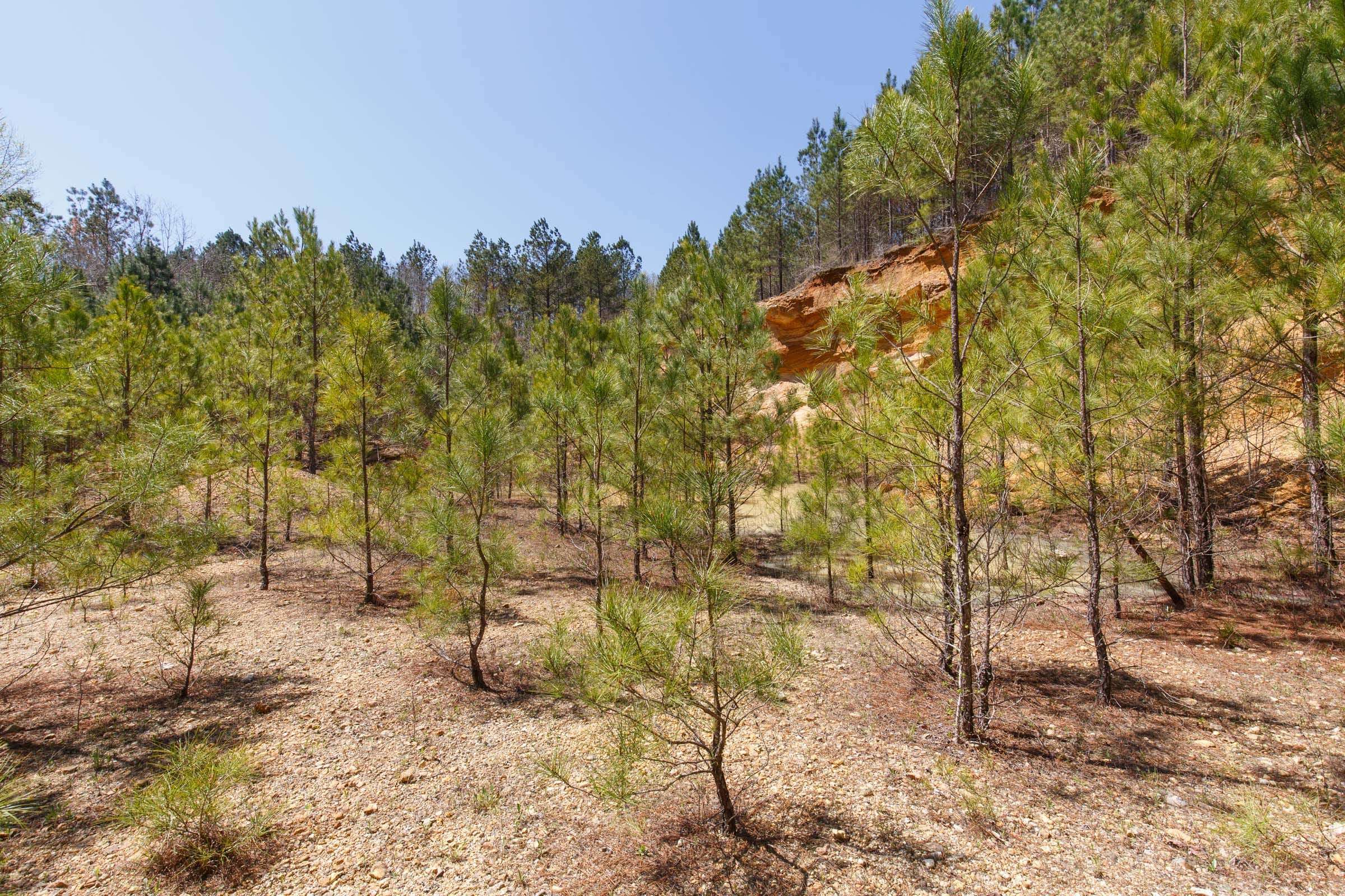Southern Hills Tract 17 photo 10