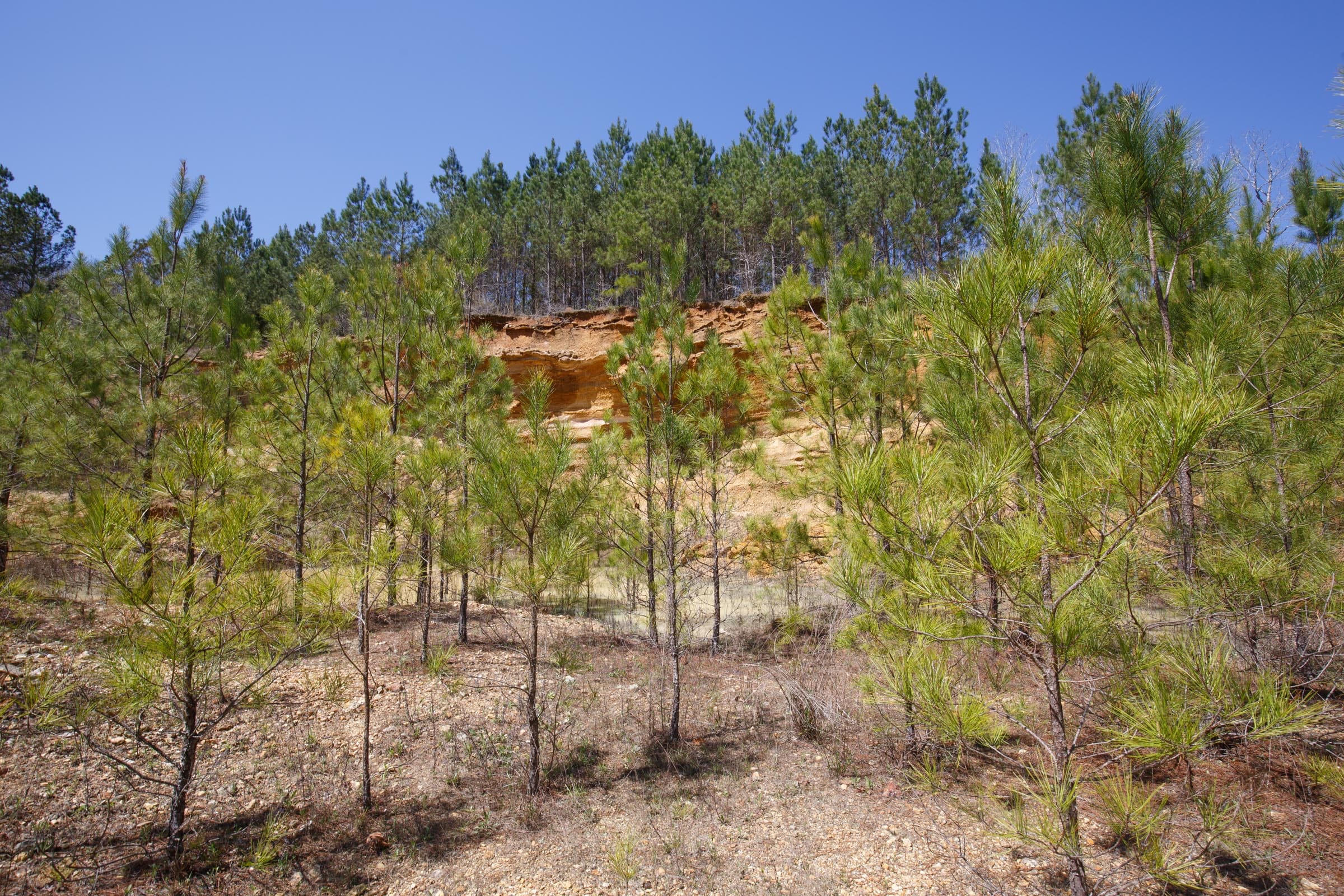 Southern Hills Tract 17 photo 12
