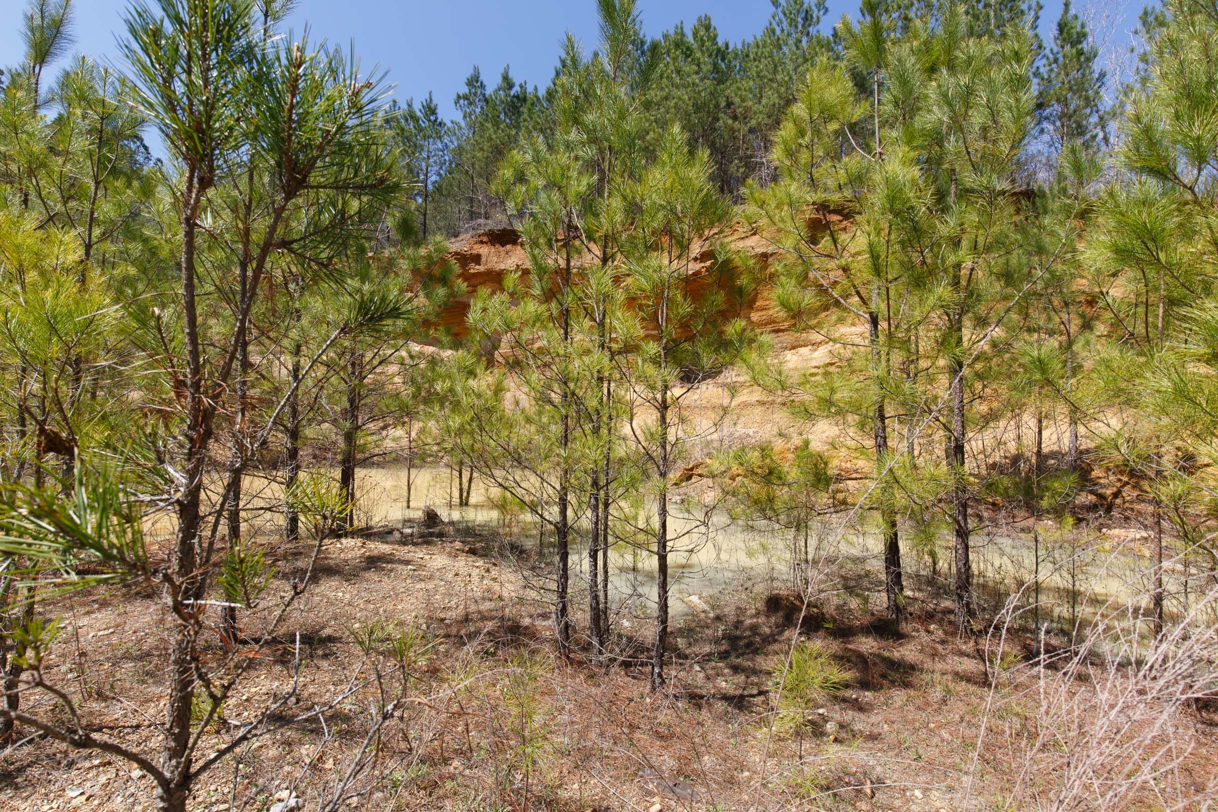 Southern Hills Tract 17 photo 13