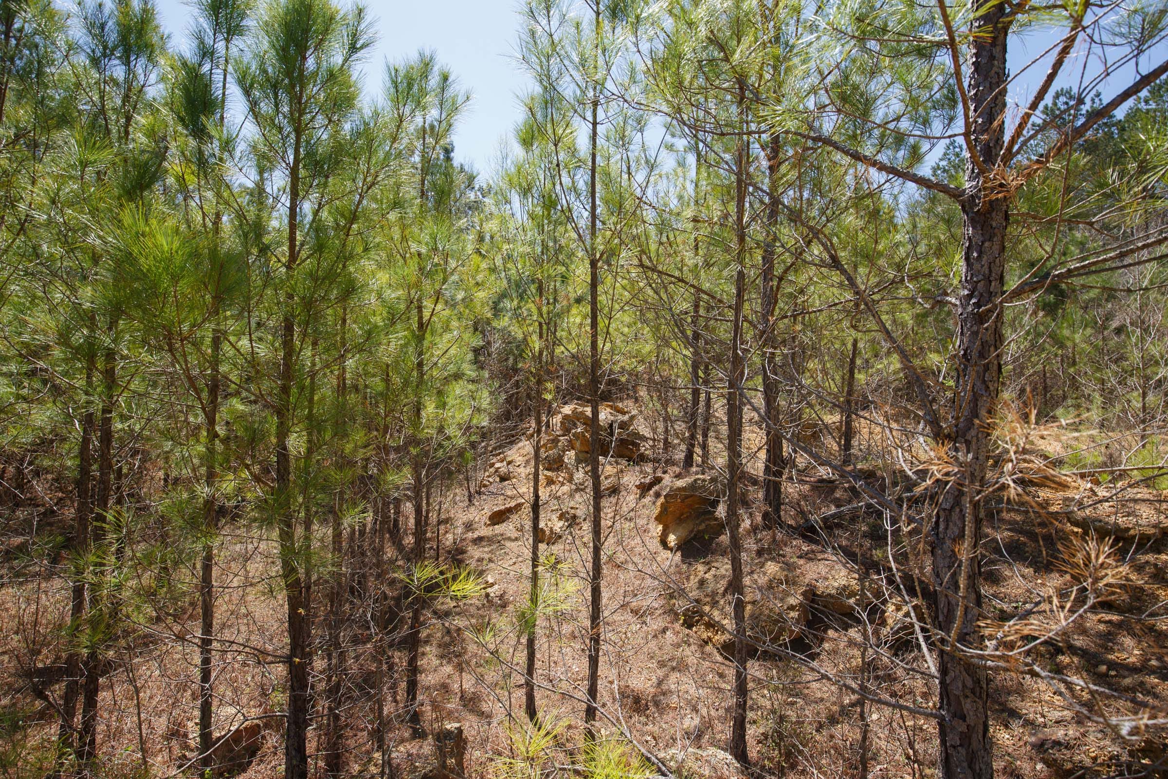 Southern Hills Tract 17 photo 15