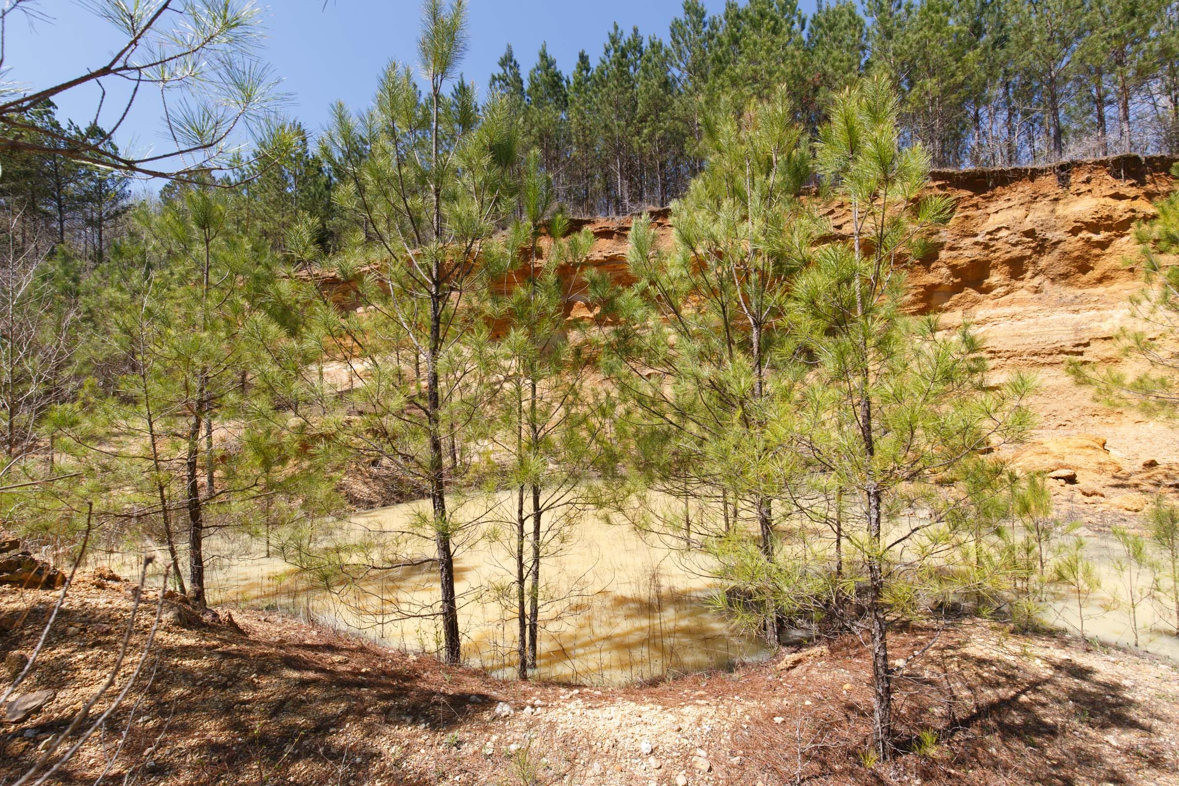Southern Hills Tract 17 photo 16