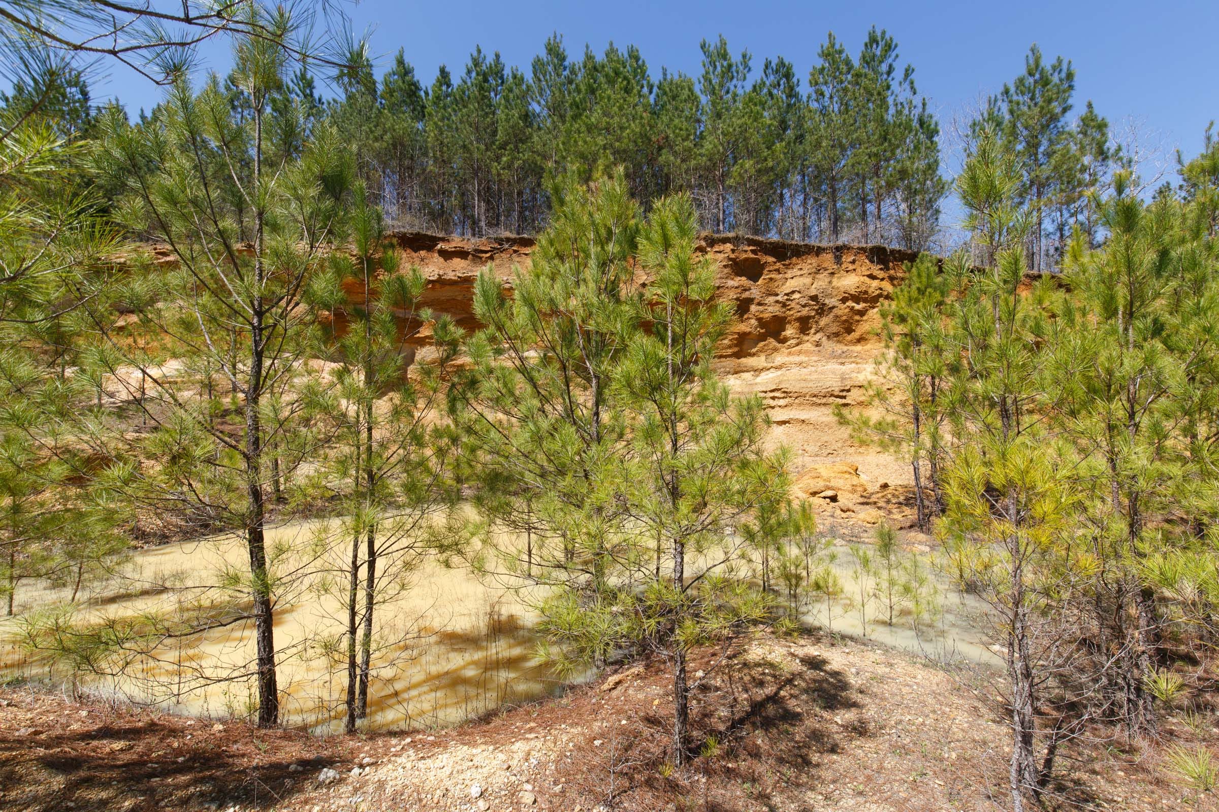 Southern Hills Tract 17 photo 17