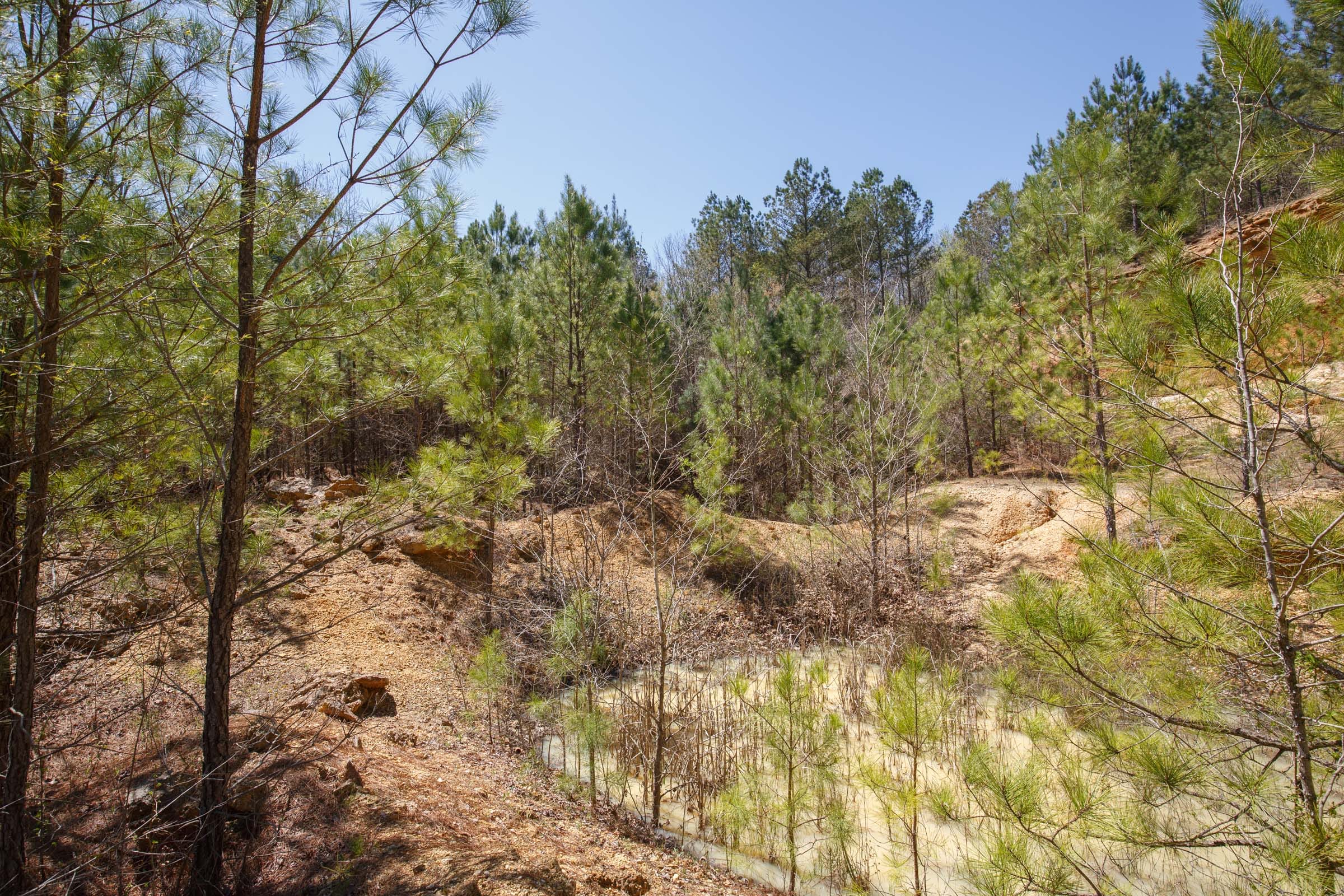 Southern Hills Tract 17 photo 18