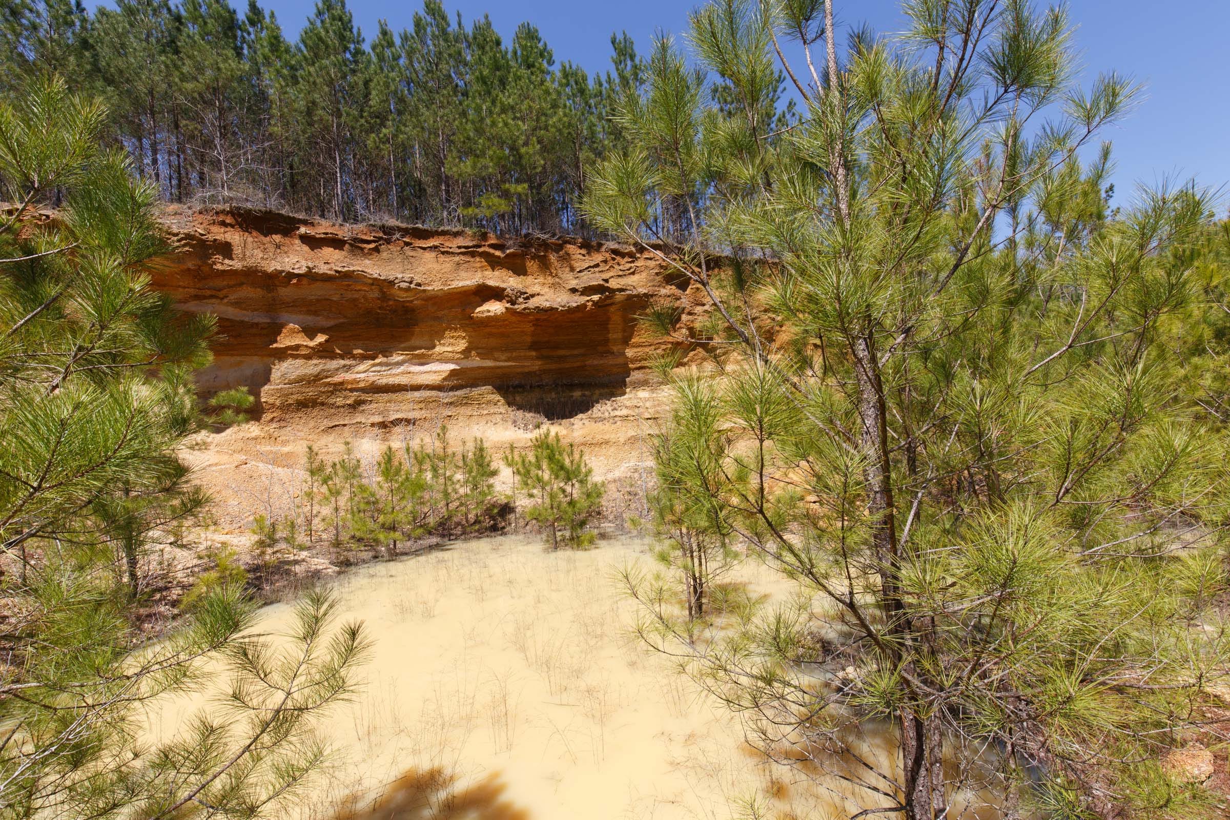 Southern Hills Tract 17 photo 19