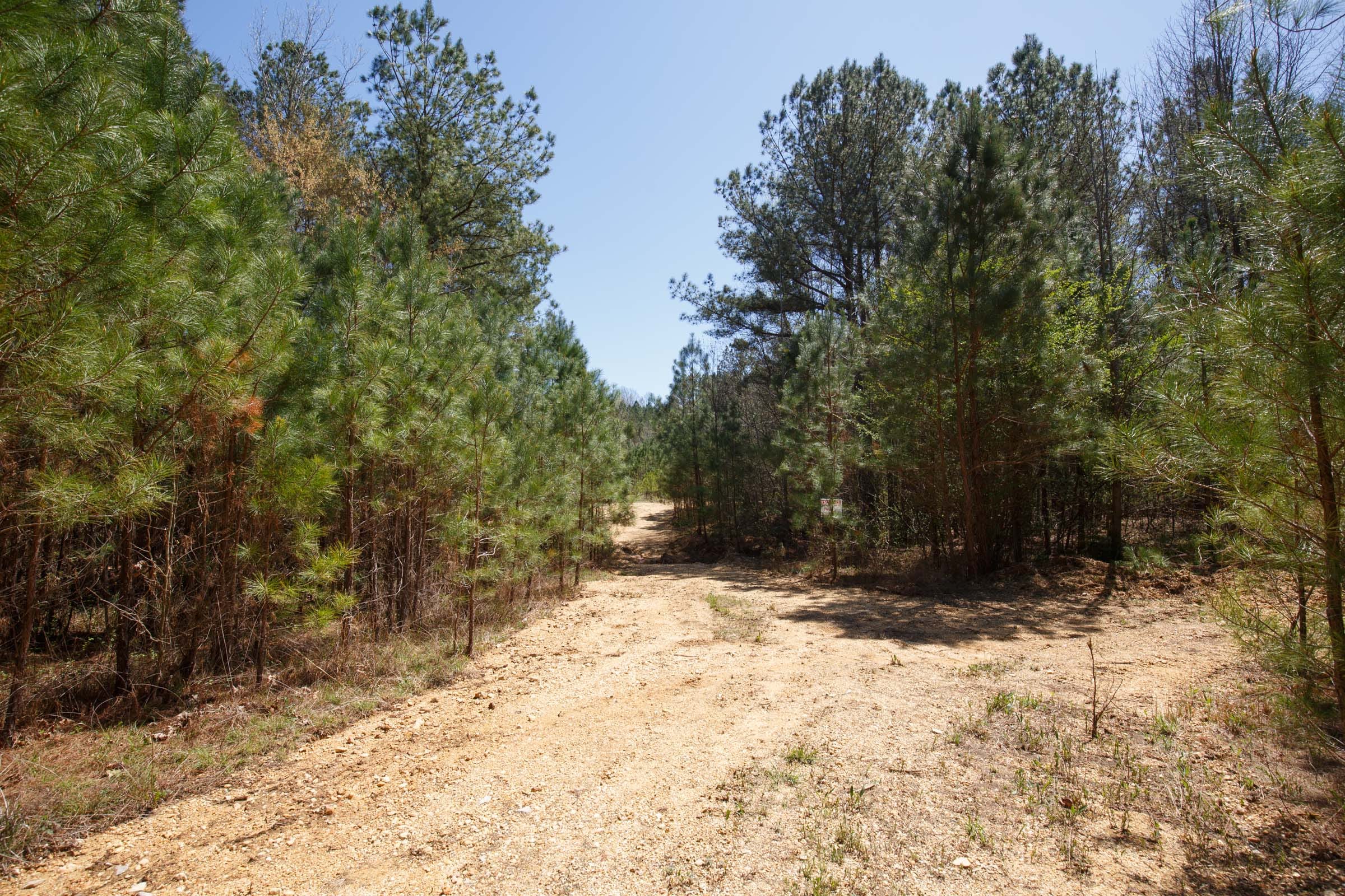Southern Hills Tract 17 photo 22