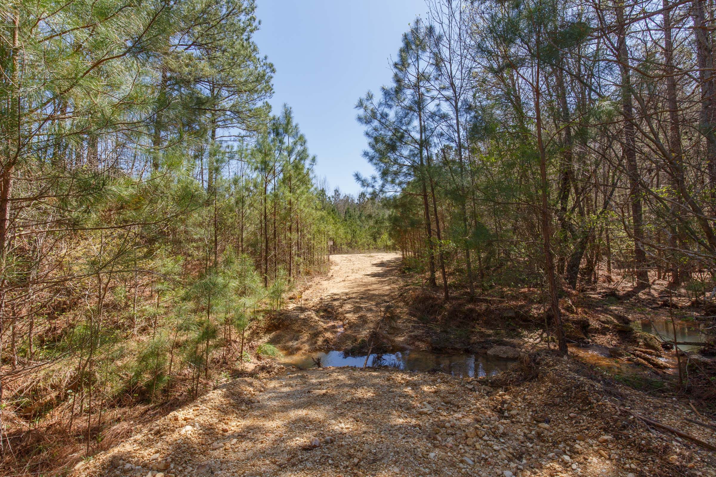 Southern Hills Tract 17 photo 23
