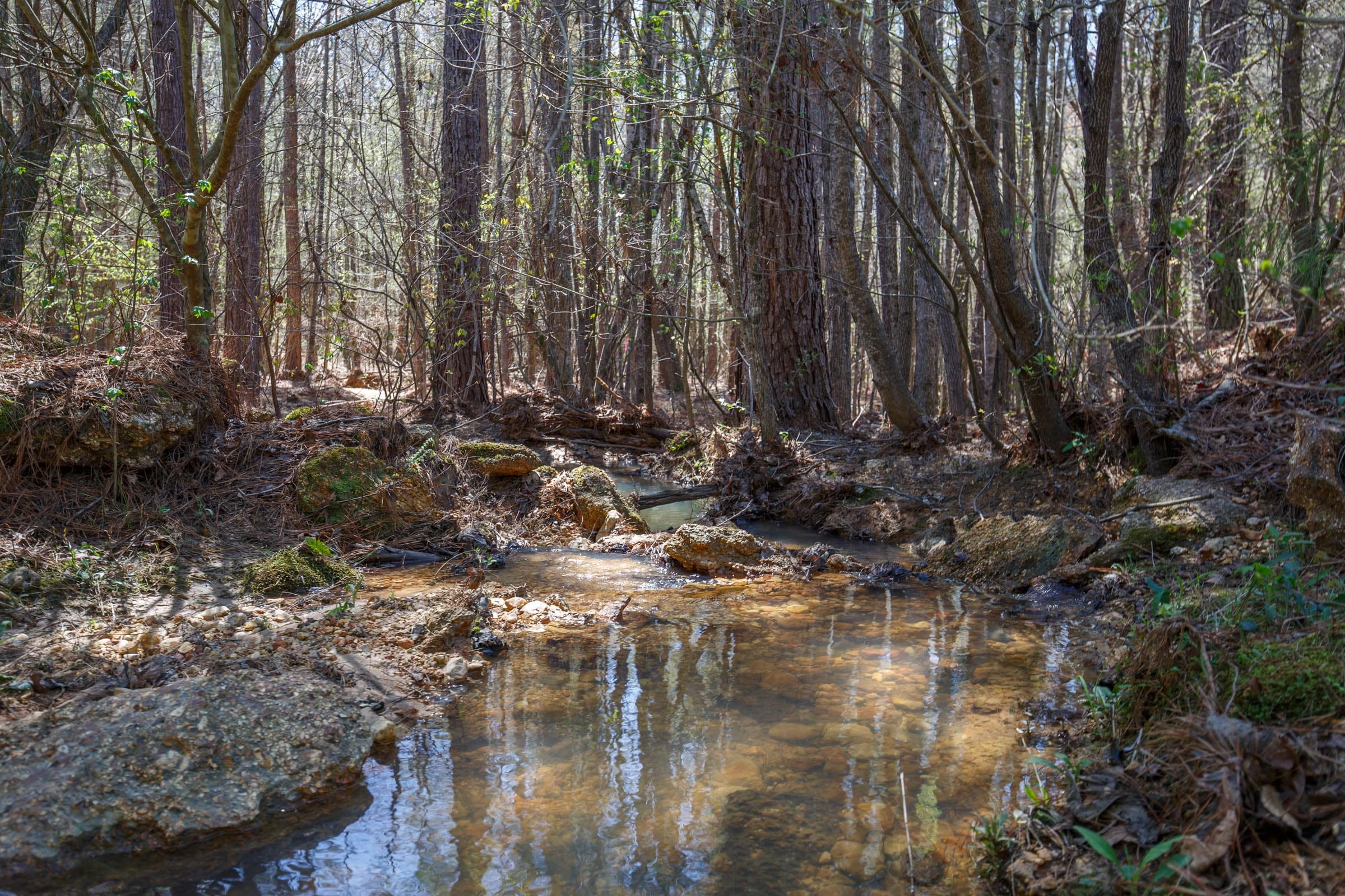 Southern Hills Tract 17 photo 3