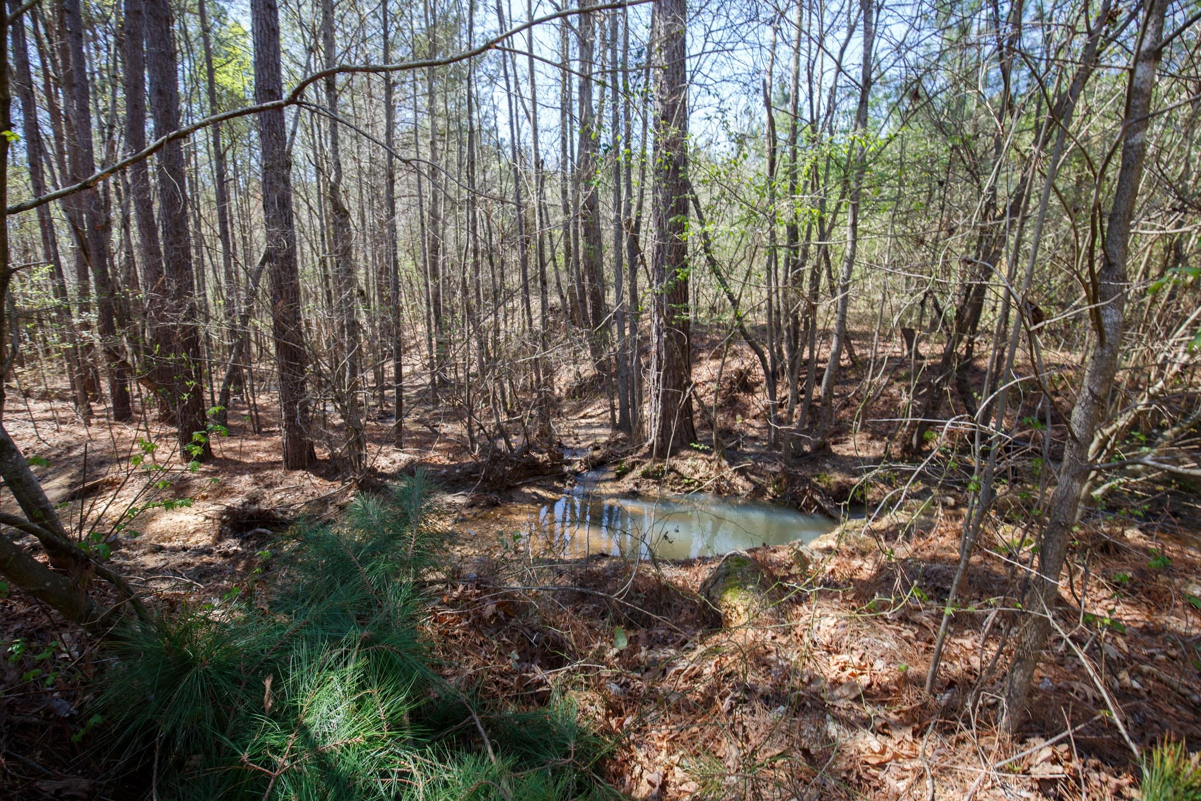 Southern Hills Tract 17 photo 24